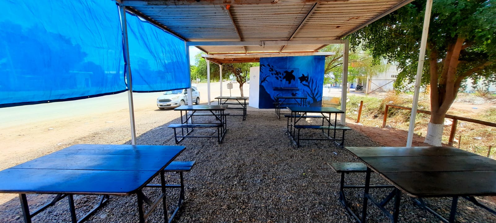 Jr. Taco Fish image 1