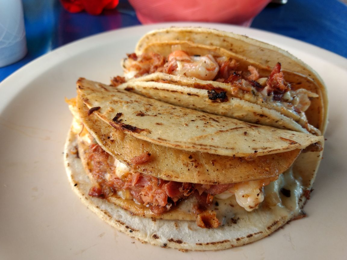 Jr. Taco Fish image 10