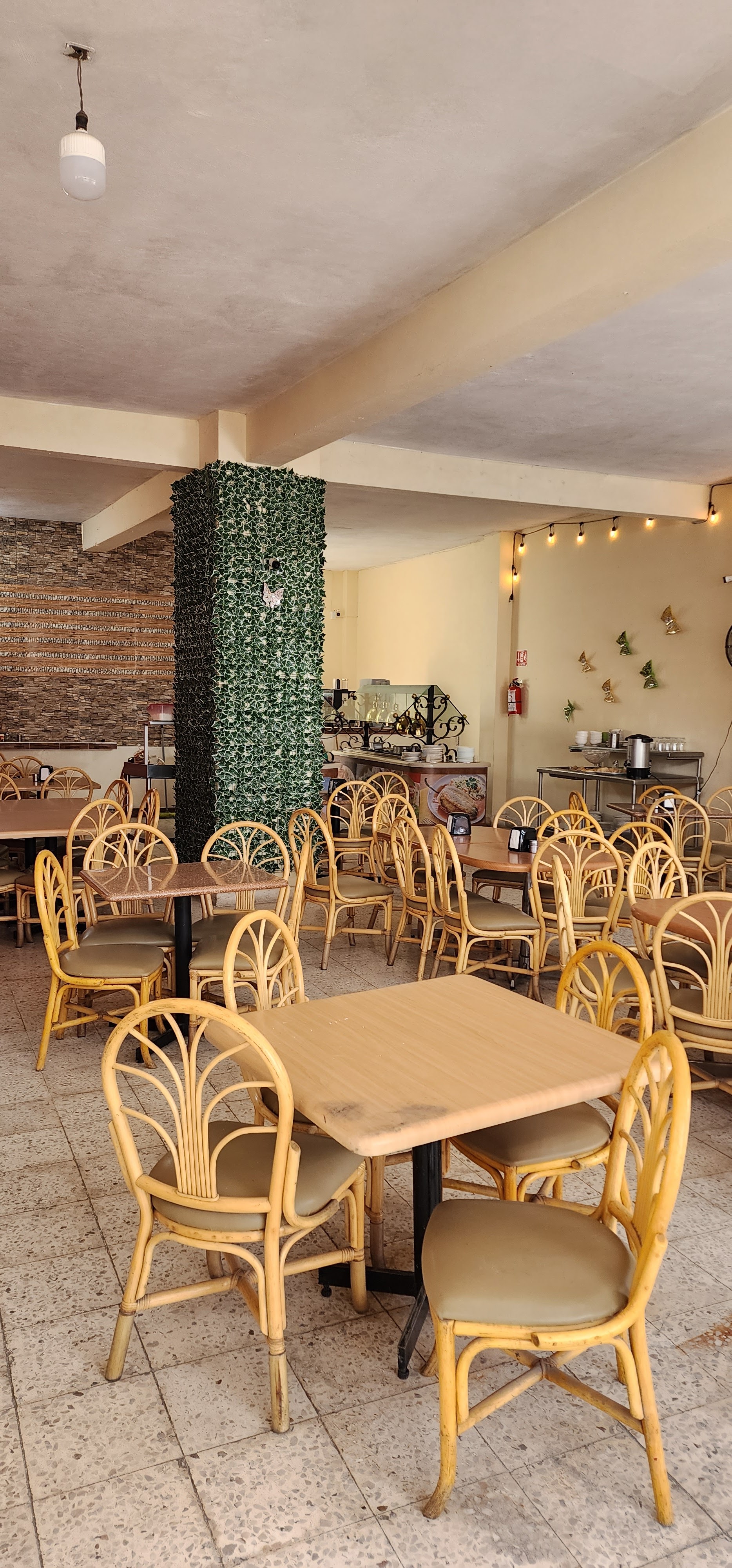 Buffet Delicias pachuca image 1