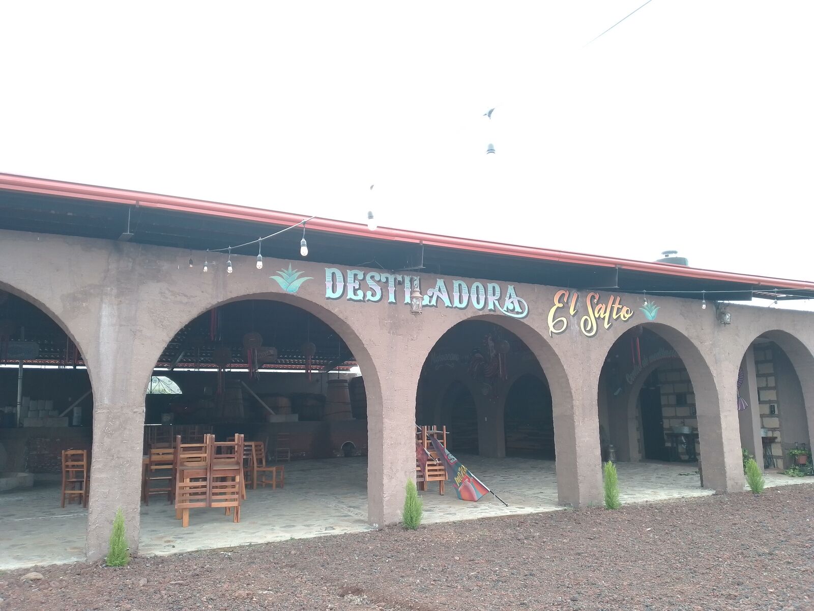 Destiladora el Salto image 5