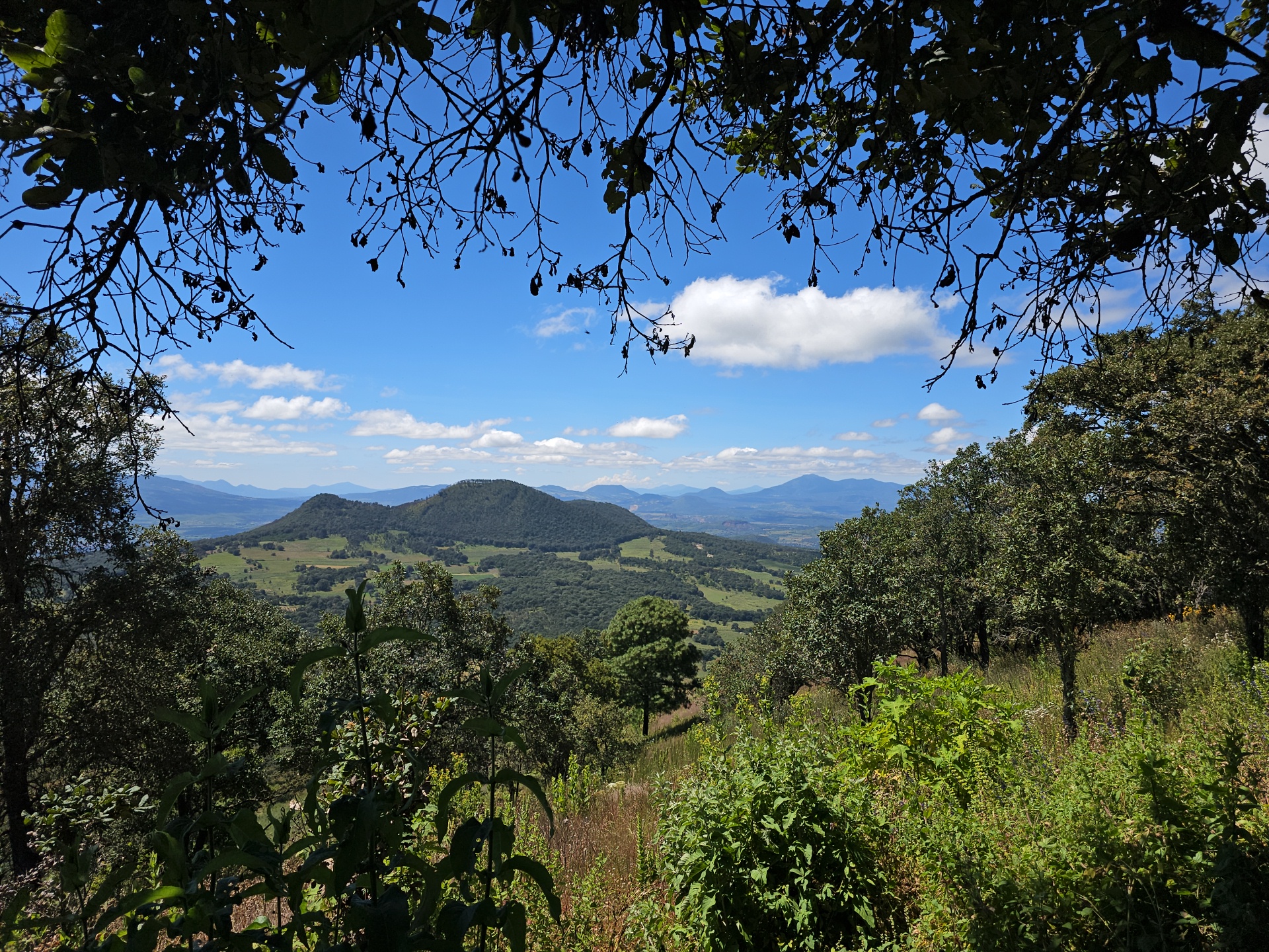Destiladora el Salto image 8