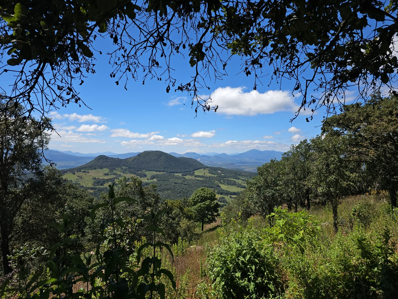 Destiladora el Salto image 8