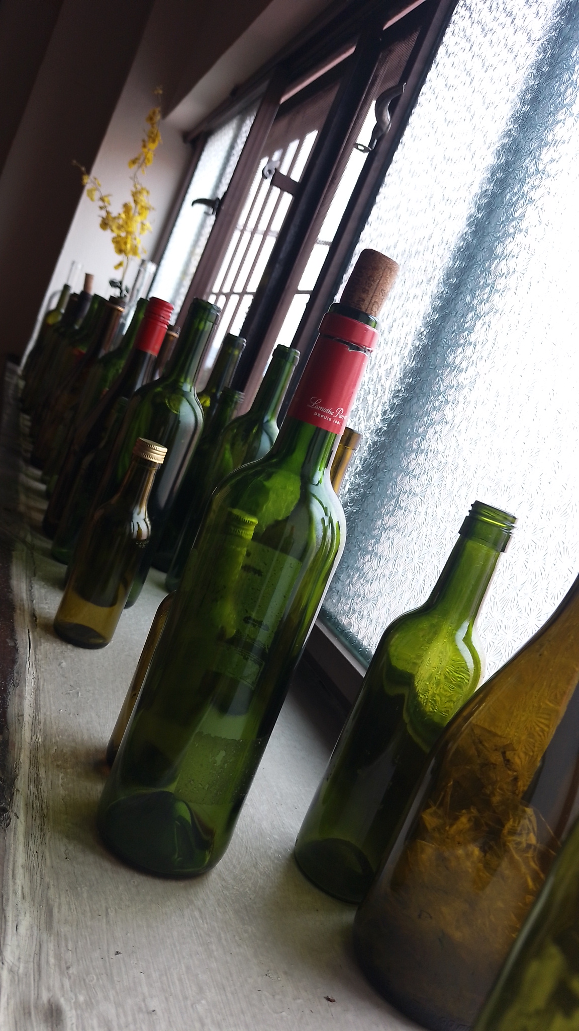 Restaurante Mi Ranchito Centro Histórico image 6