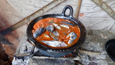 Coto Cabana image 2