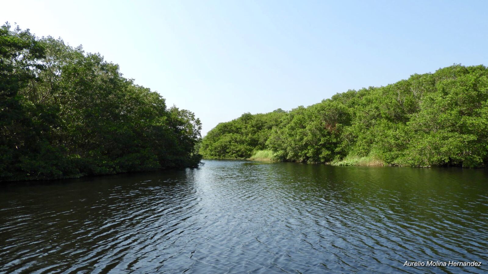 Coto Cabana image 3