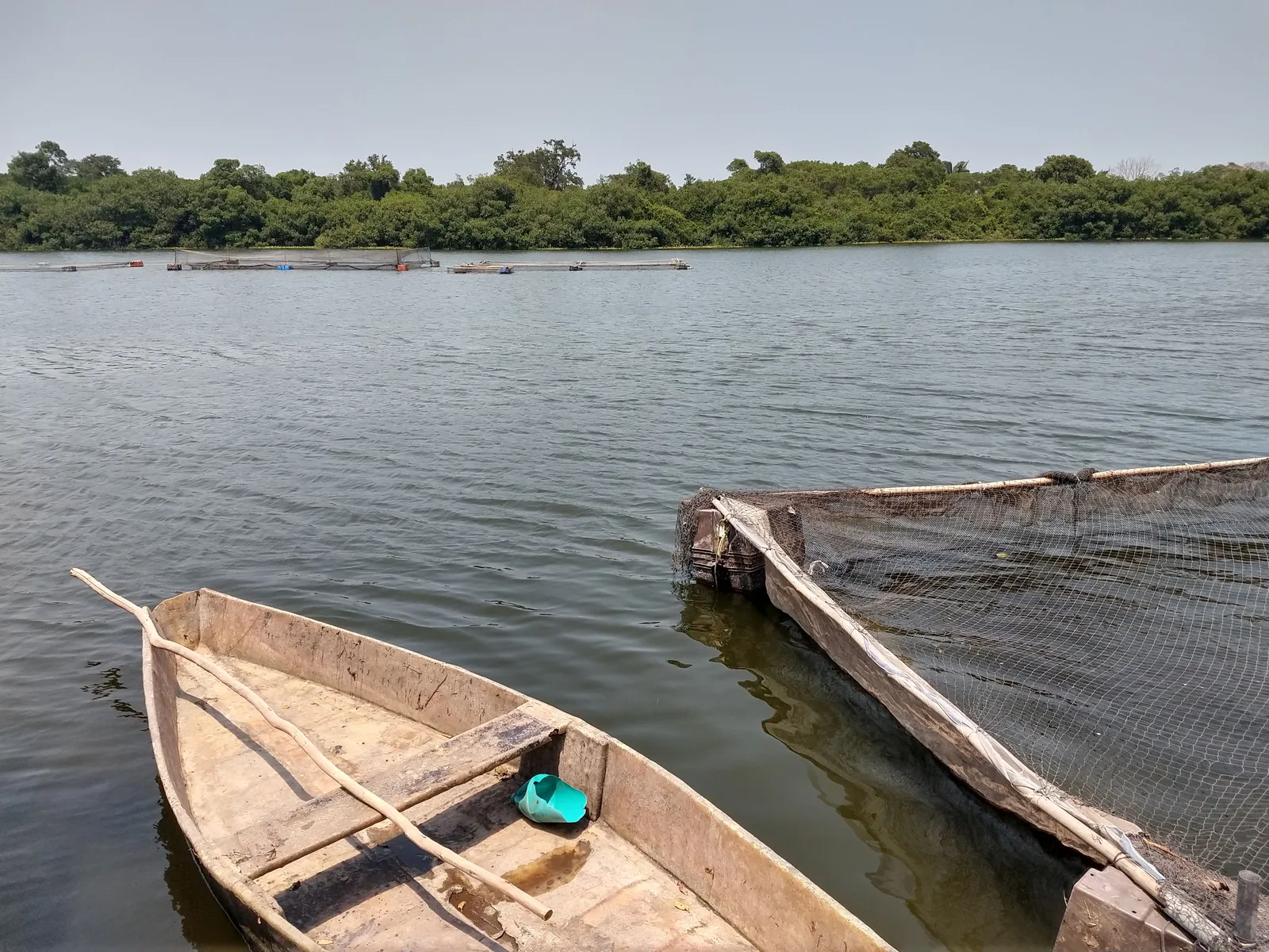 Coto Cabana image 5