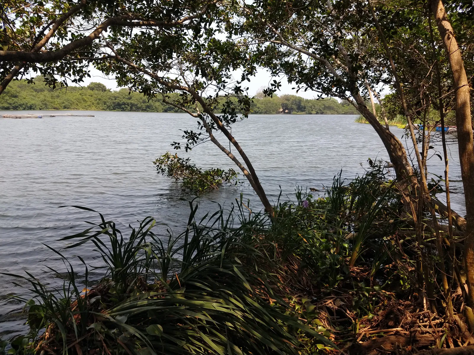 Coto Cabana image 6
