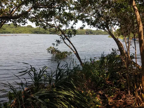 Coto Cabana image 6