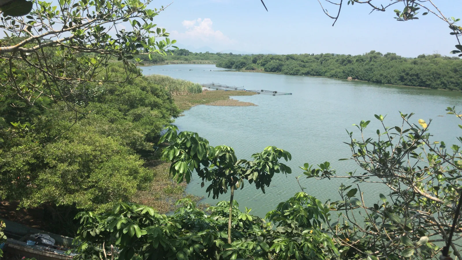 Coto Cabana image 7