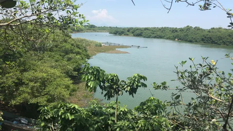 Coto Cabana image 7