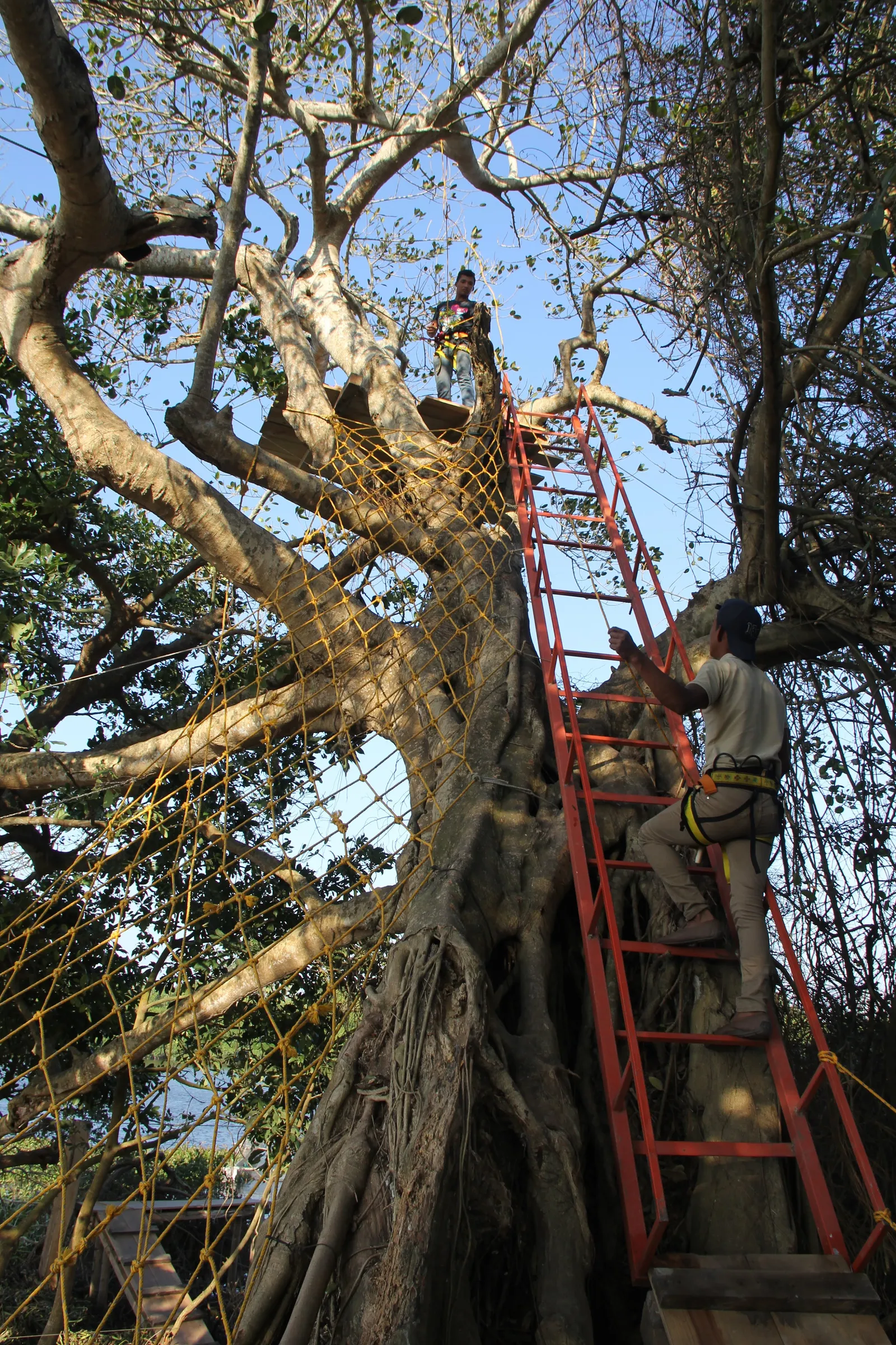 Coto Cabana image 8