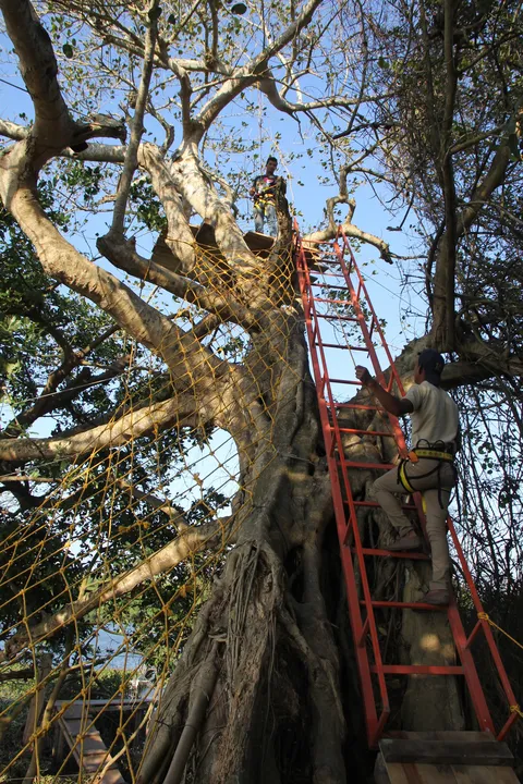 Coto Cabana image 8