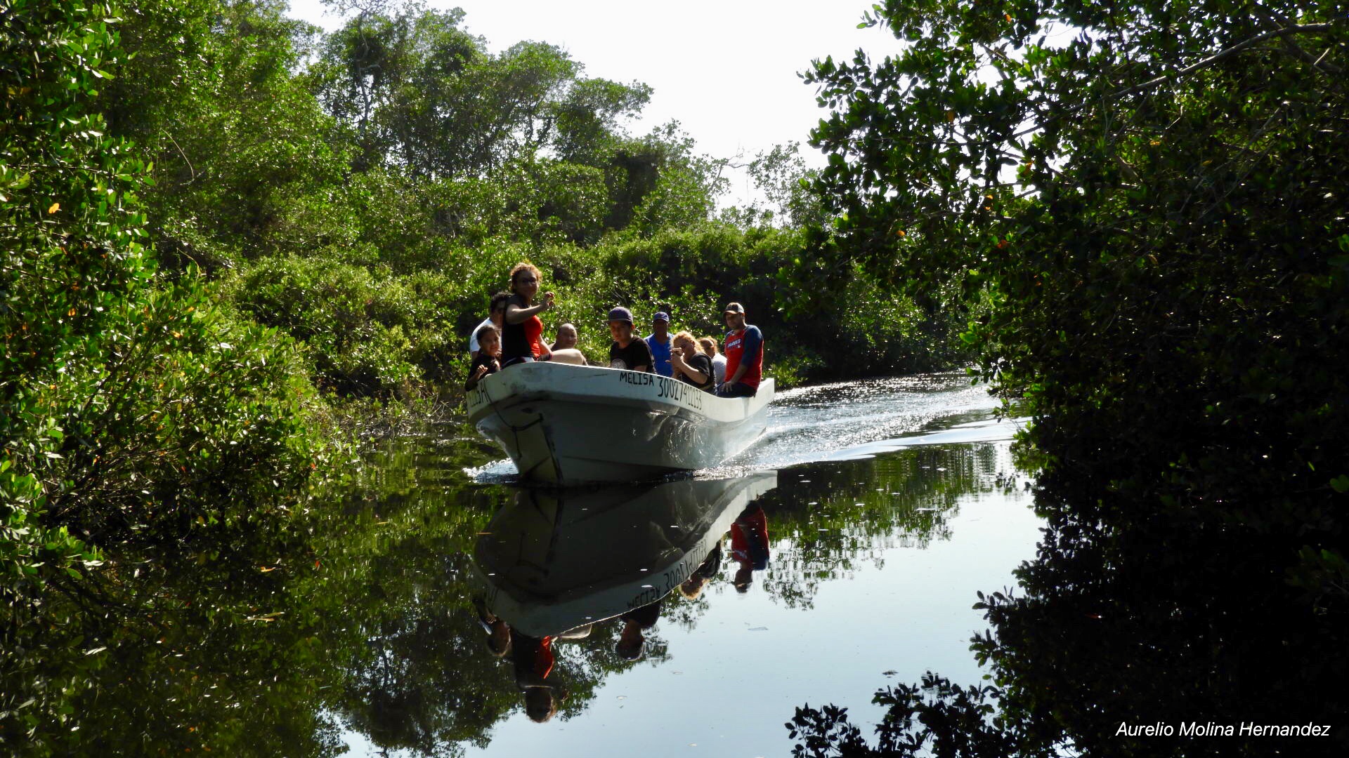 Coto Cabana image 10