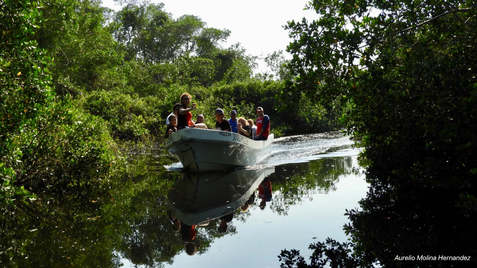 Coto Cabana image 10