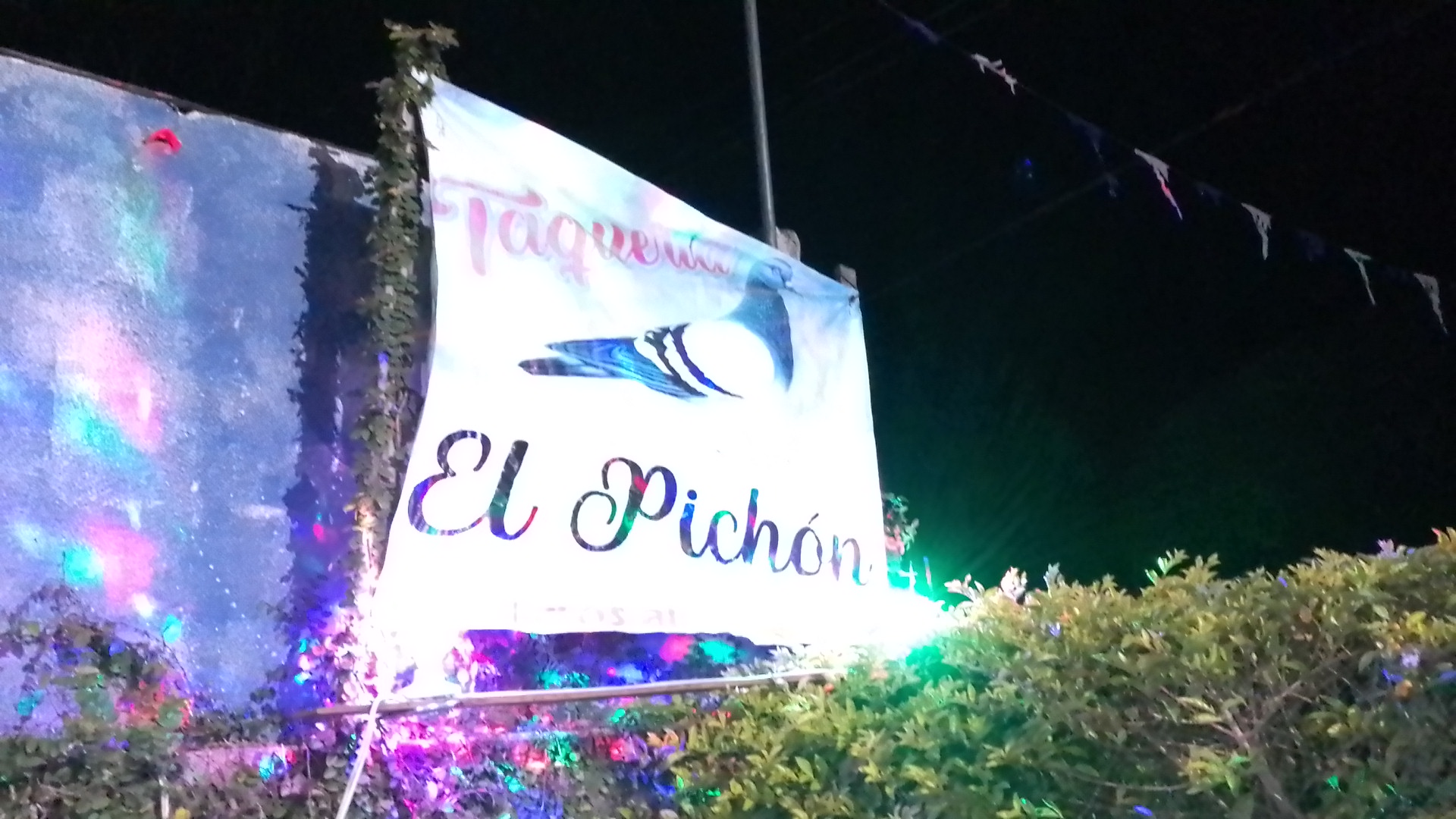 Taquería EL PICHON image 3