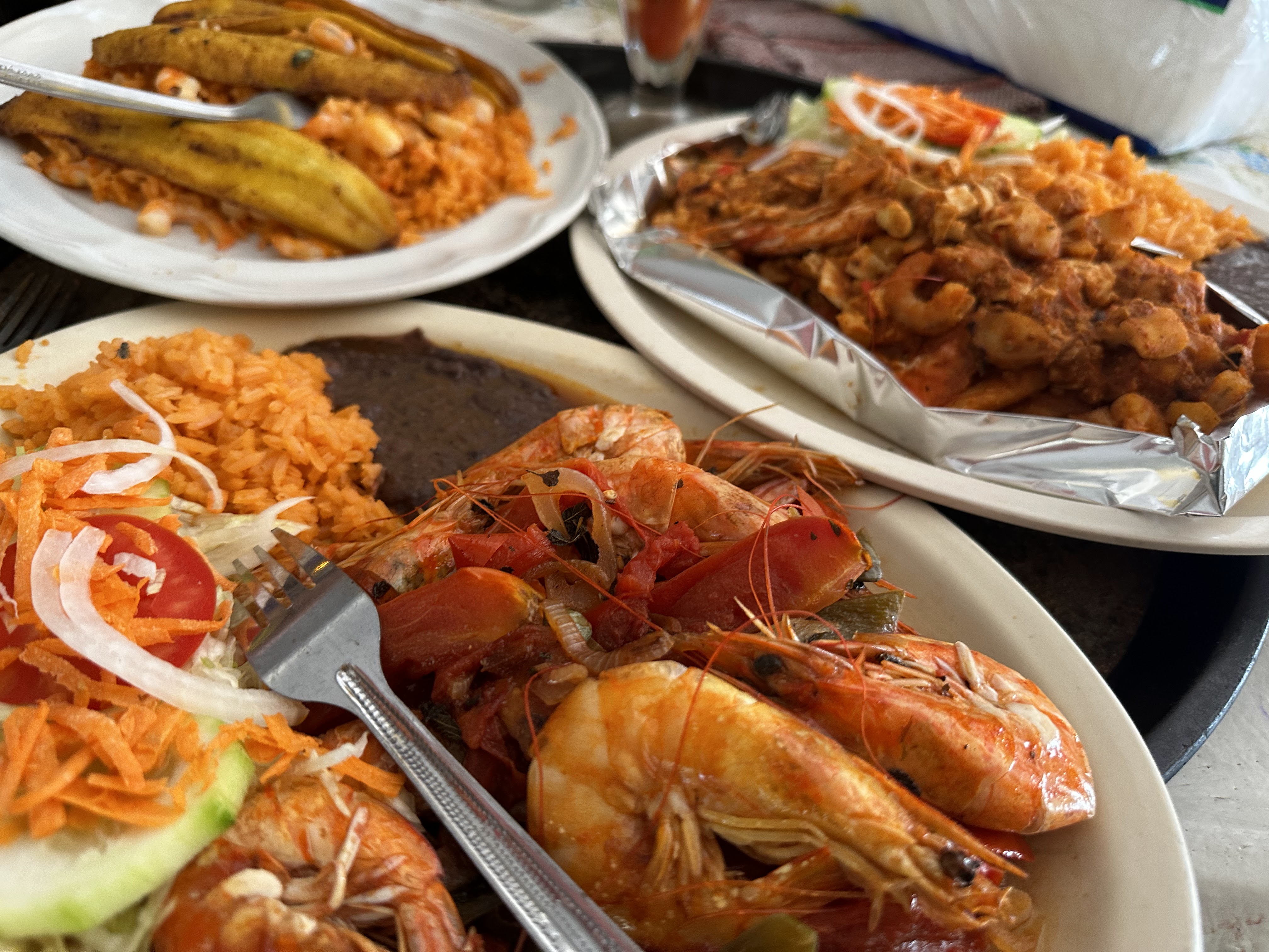 Concha Dorada image 2