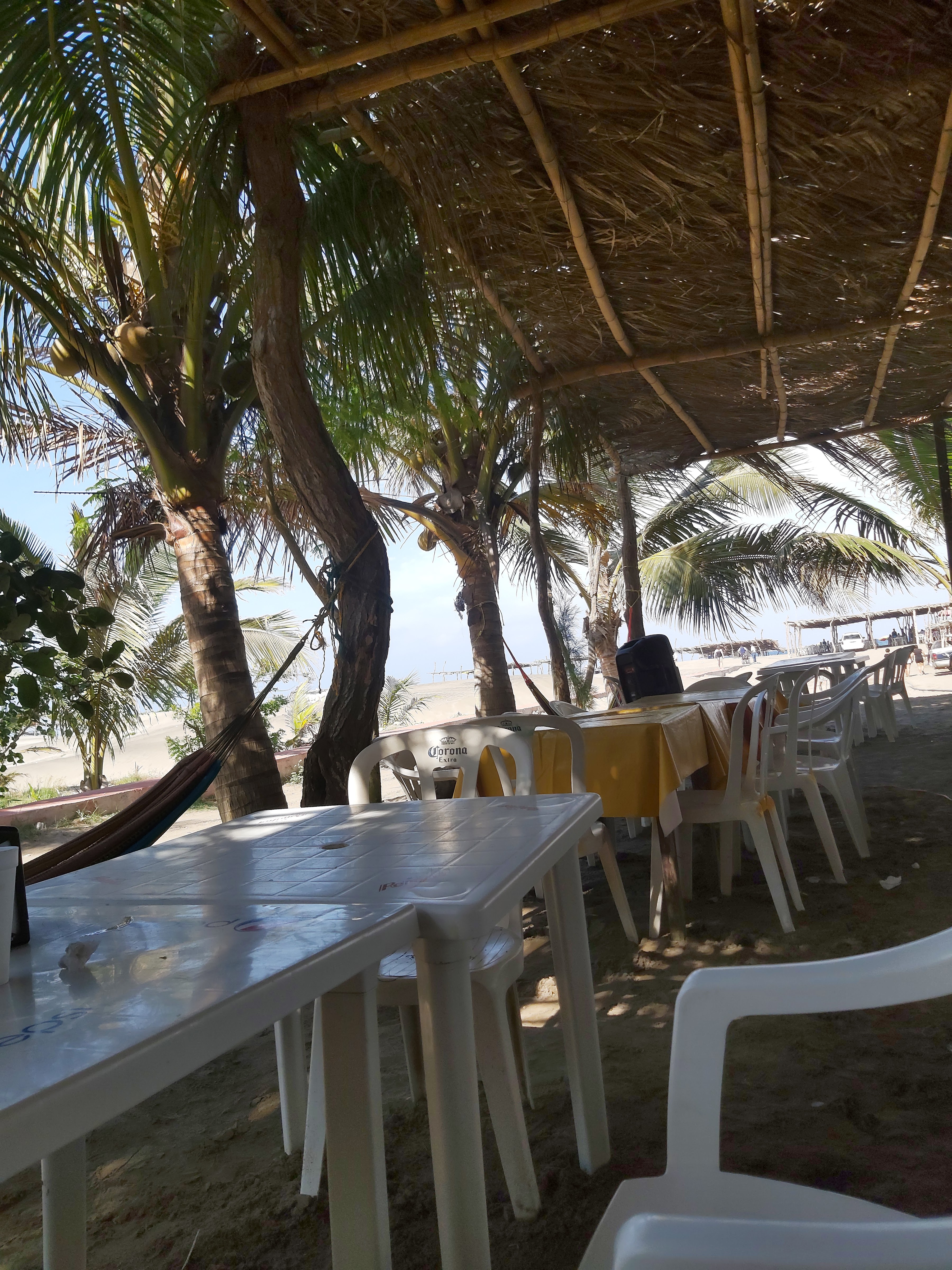 Concha Dorada image 4