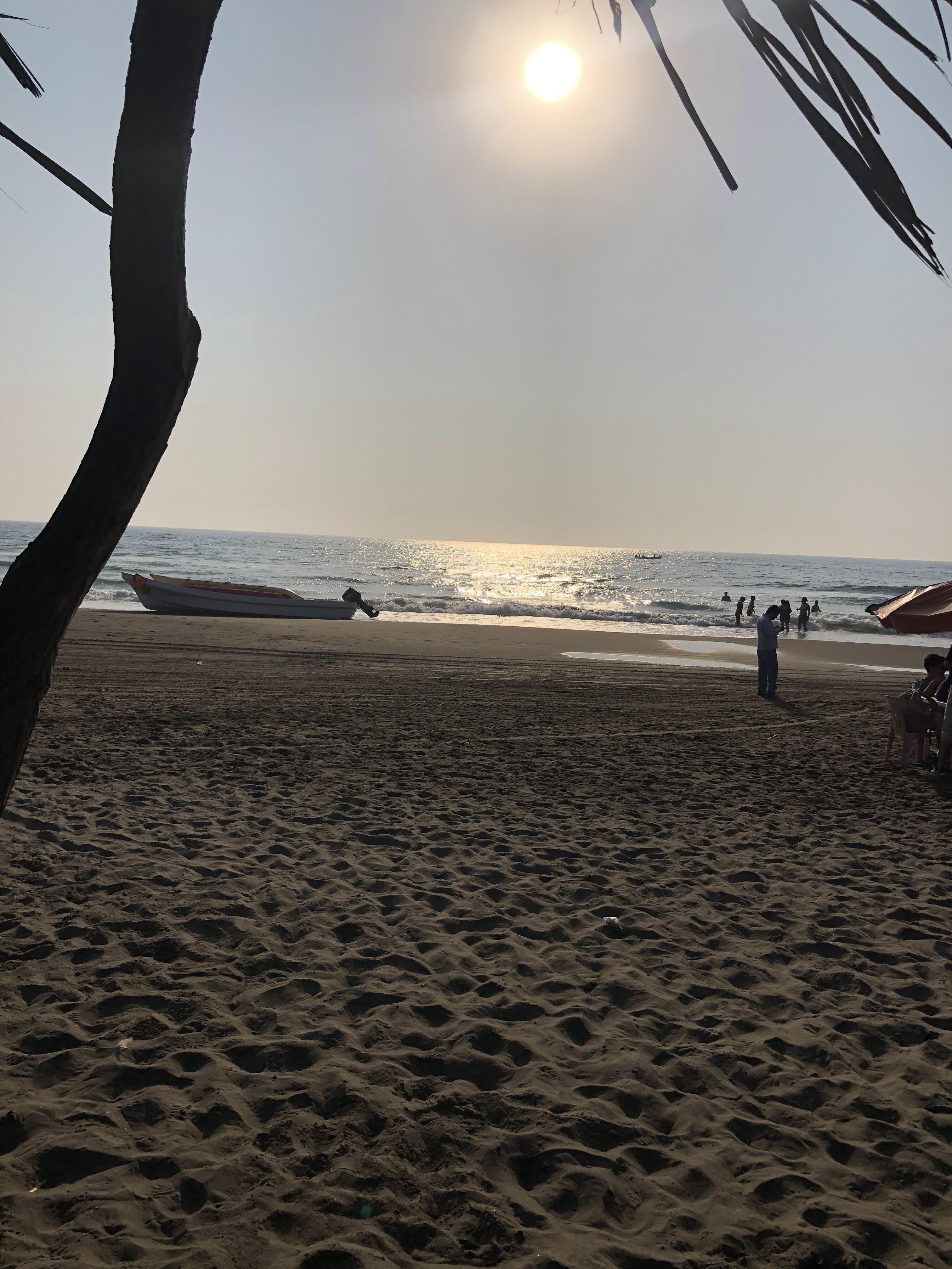 Concha Dorada image 6