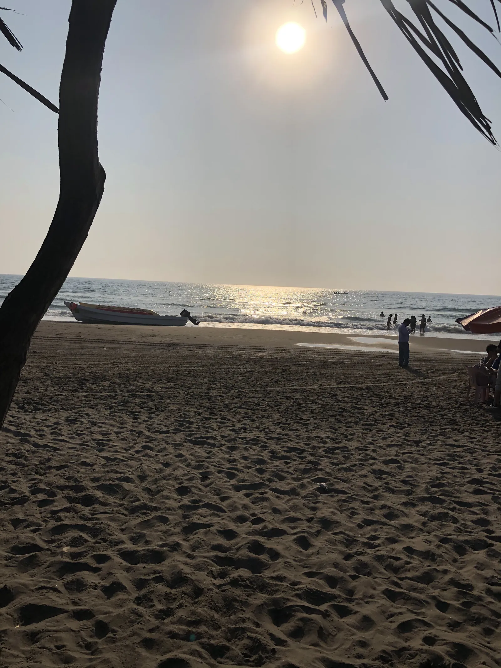 Concha Dorada image 6