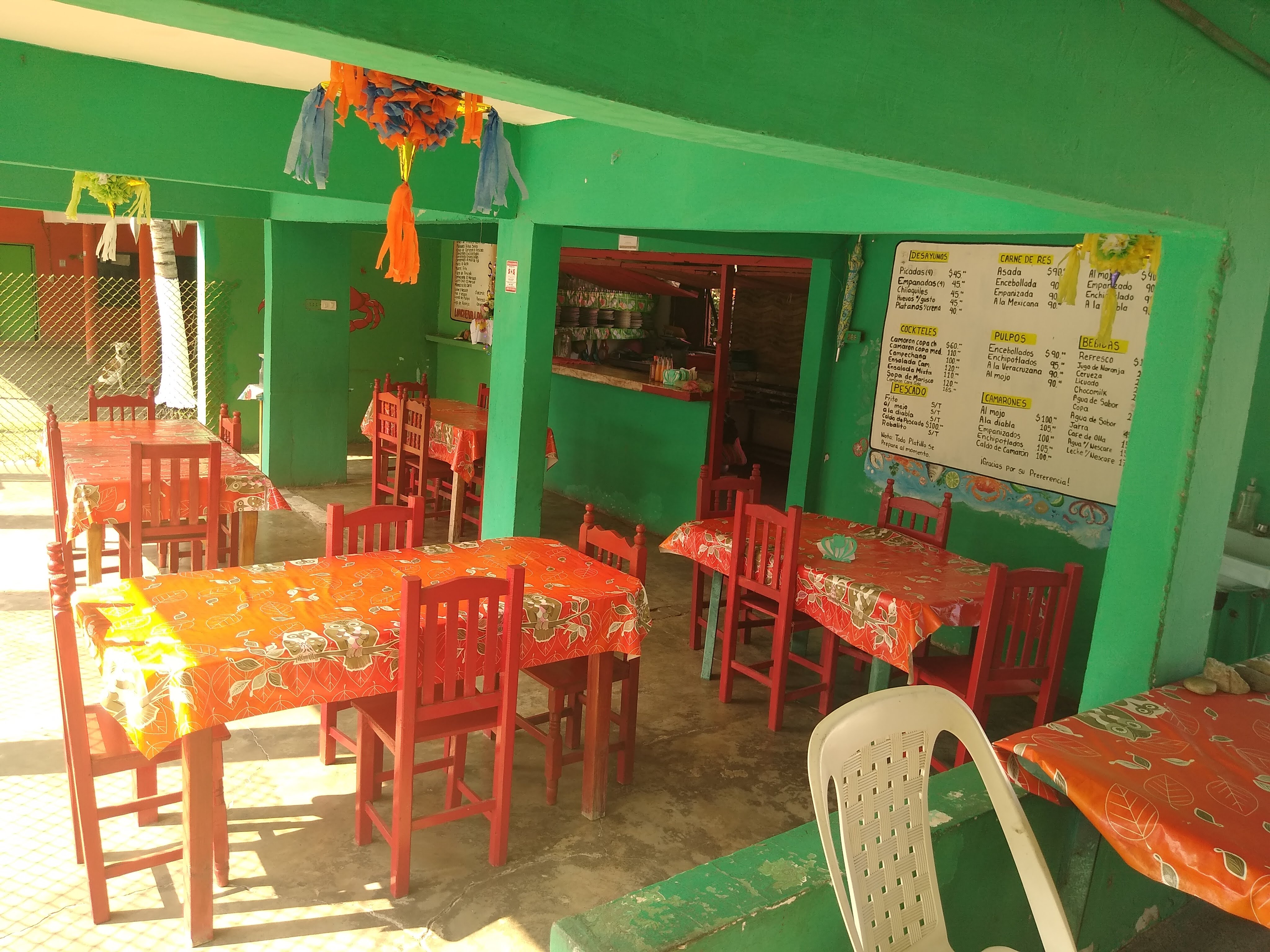 Loncheria Laurita image 10