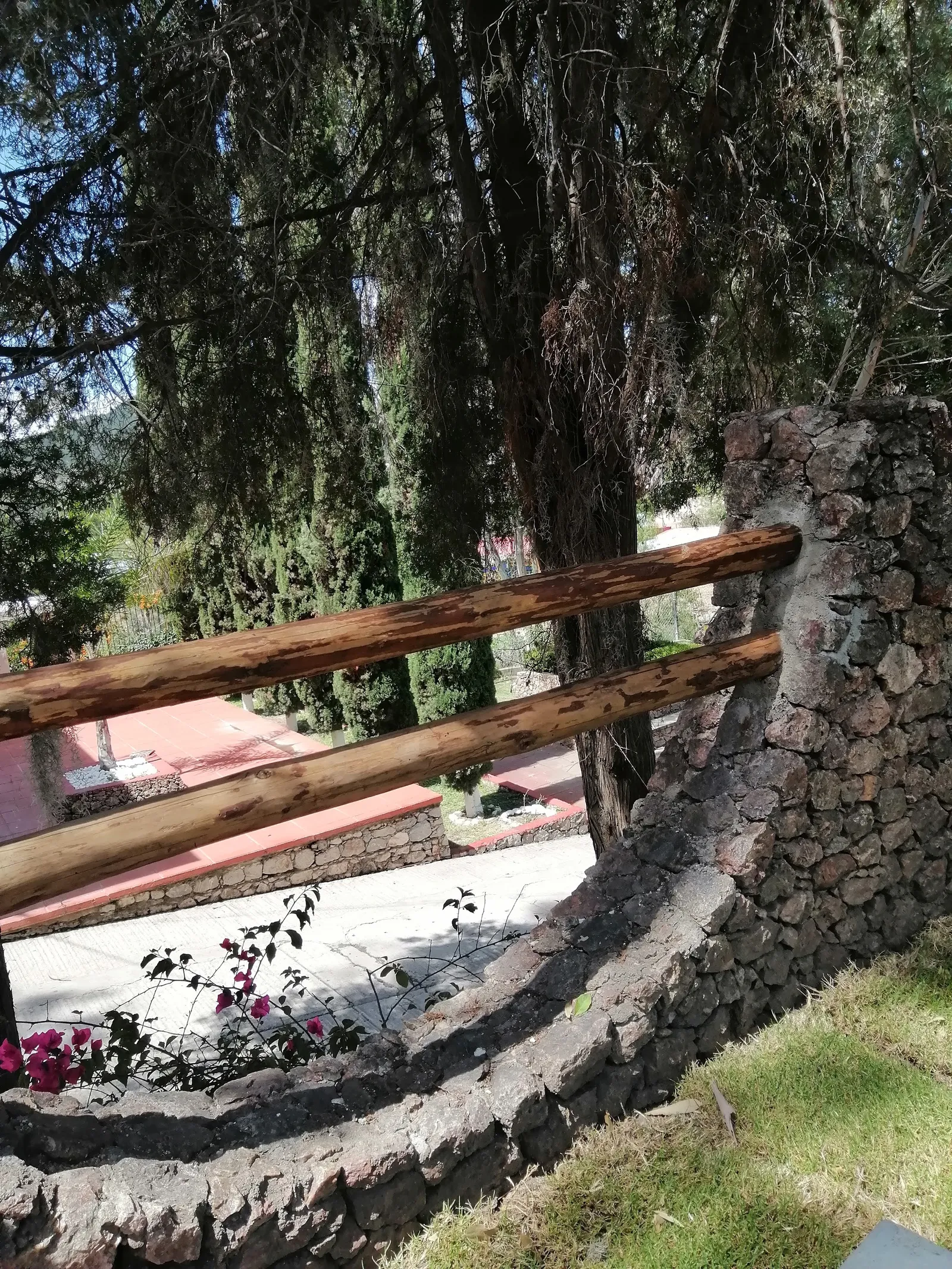 RESTAURANT DOÑA TOÑA image 4