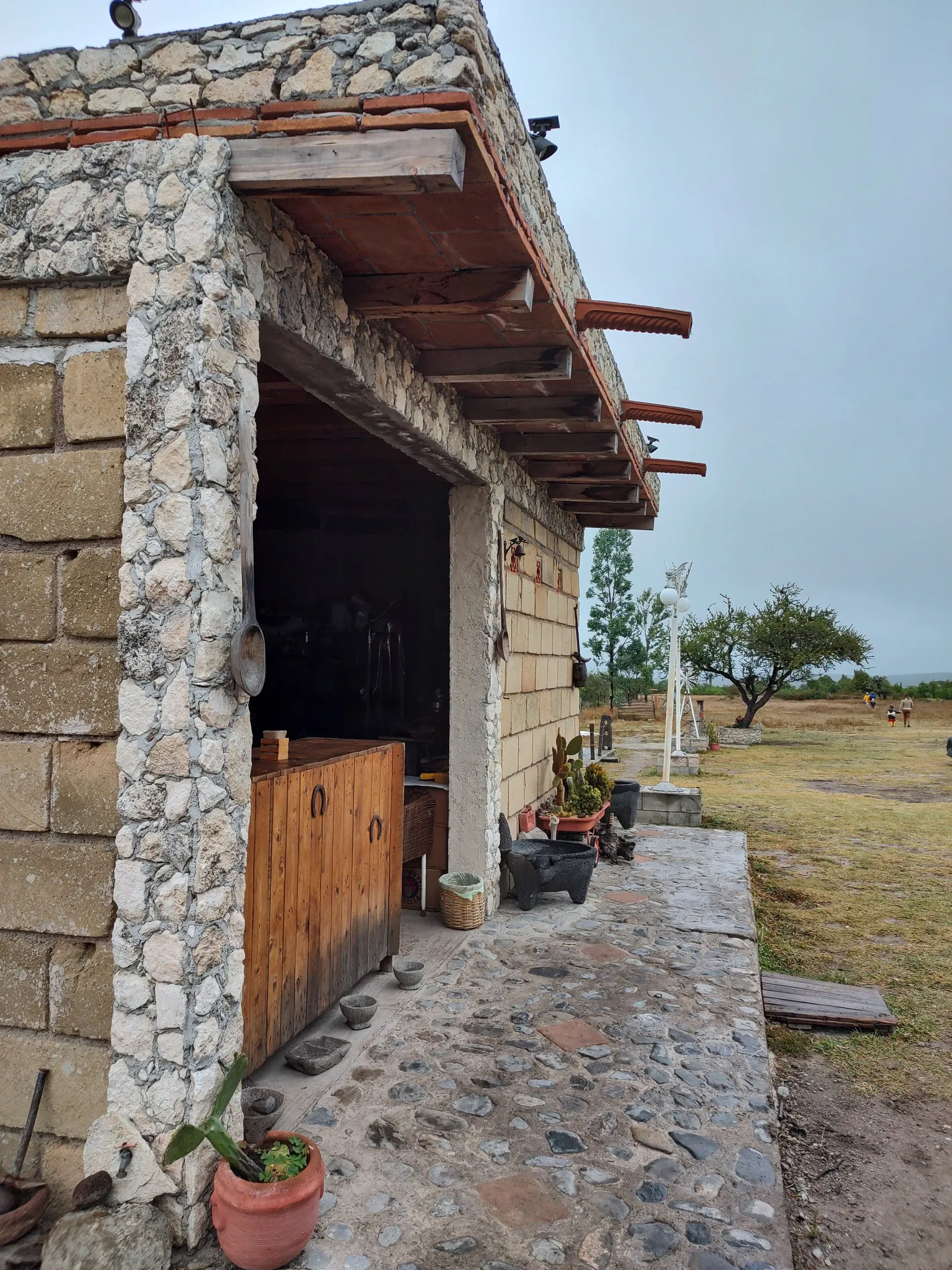 El Corral del Abuelo, Armadillo d los Infante.slp image 4