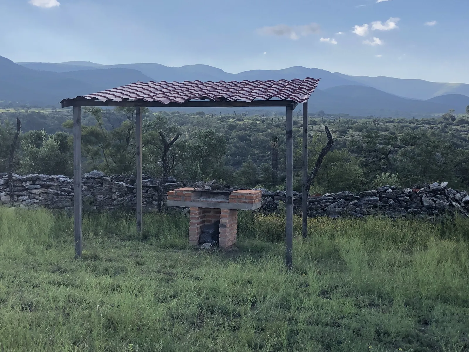 El Corral del Abuelo, Armadillo d los Infante.slp image 5
