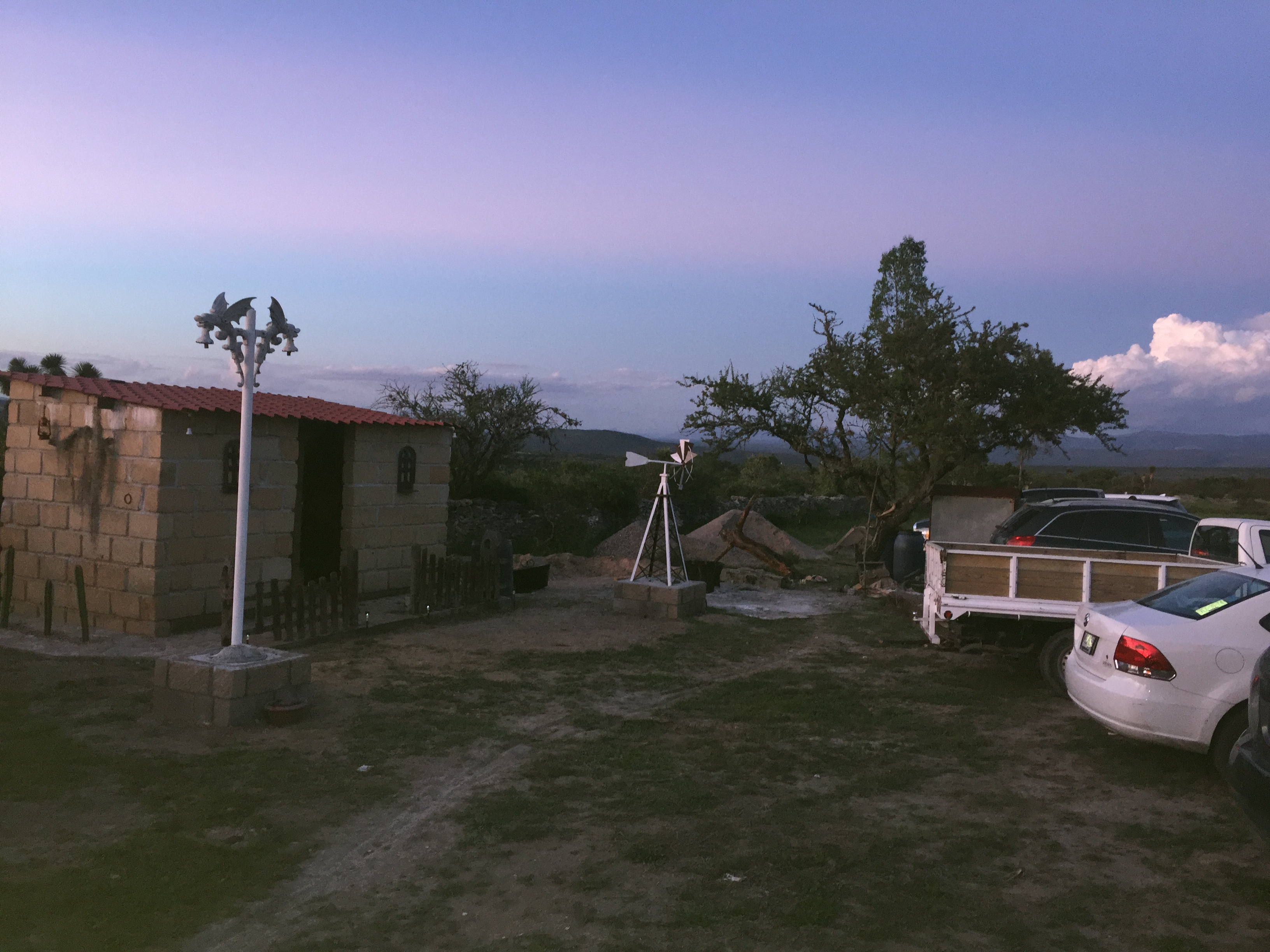 El Corral del Abuelo, Armadillo d los Infante.slp image 7