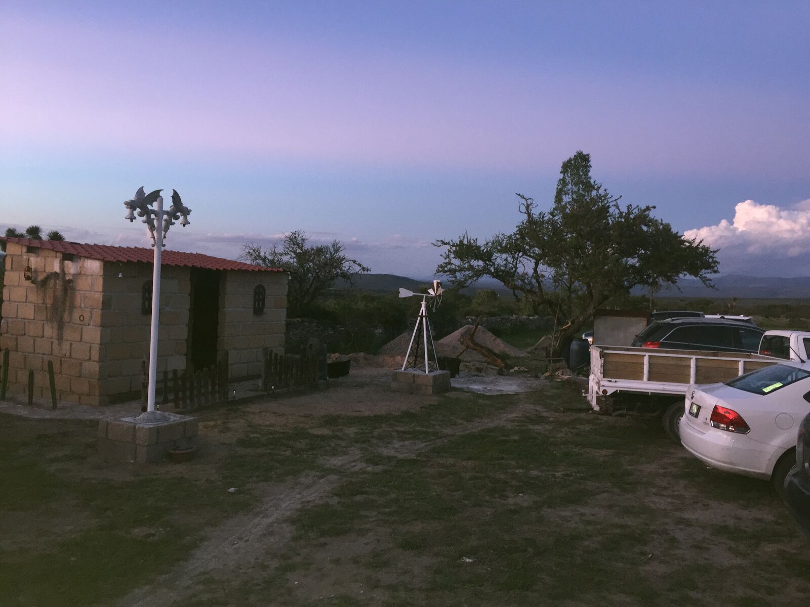 El Corral del Abuelo, Armadillo d los Infante.slp image 7