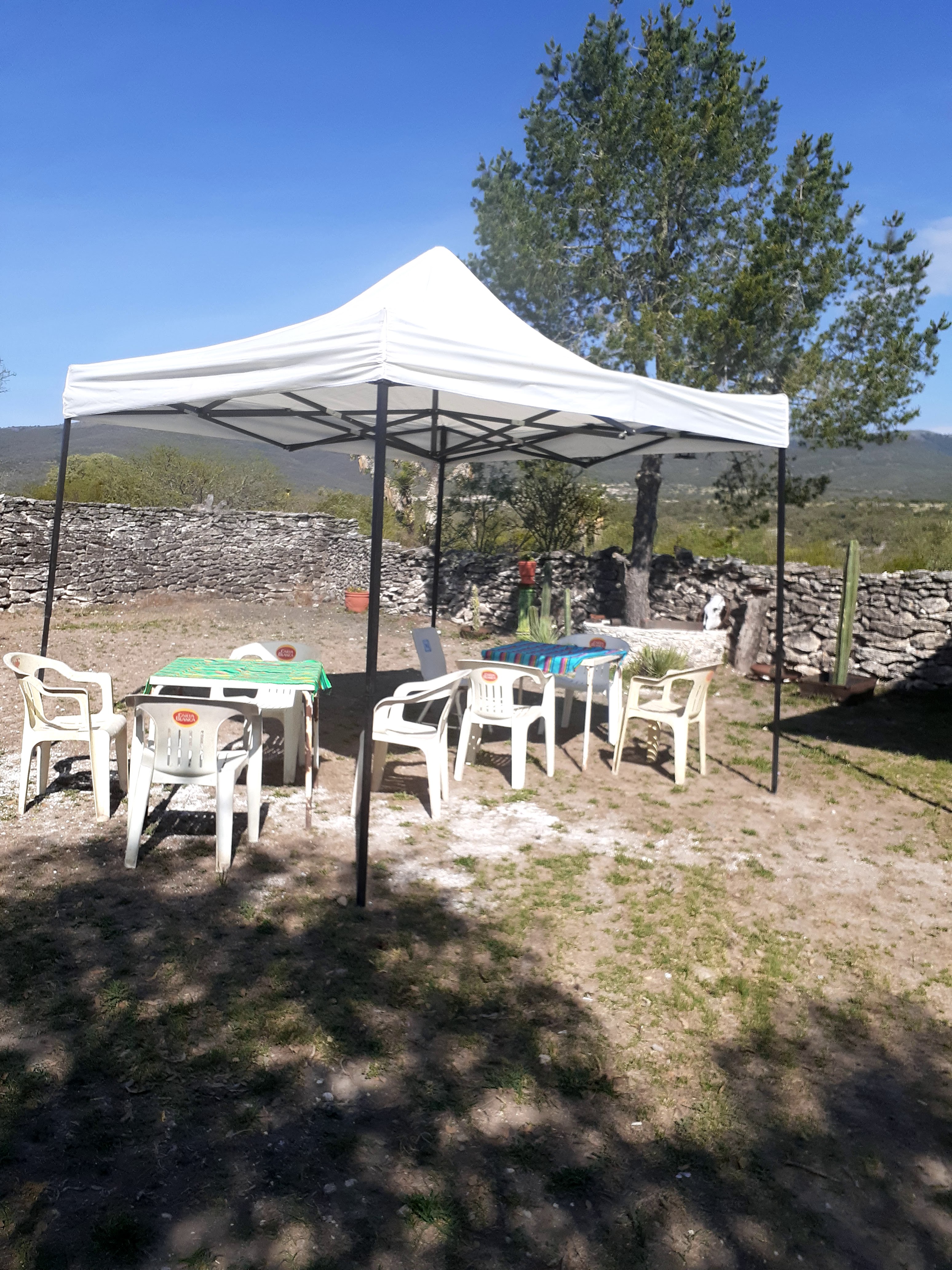 El Corral del Abuelo, Armadillo d los Infante.slp image 9