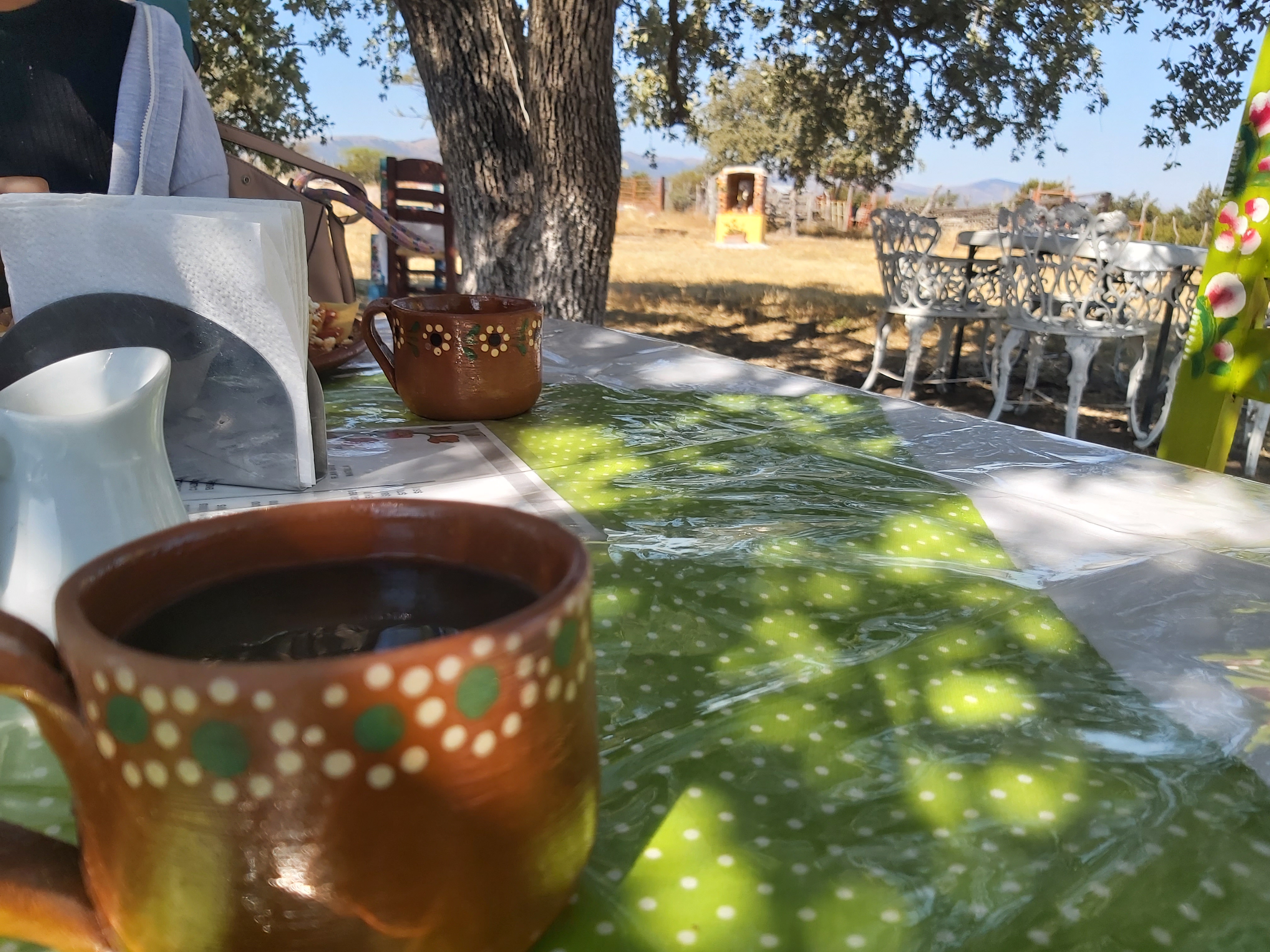 Restaurant 1600 El encino image 2