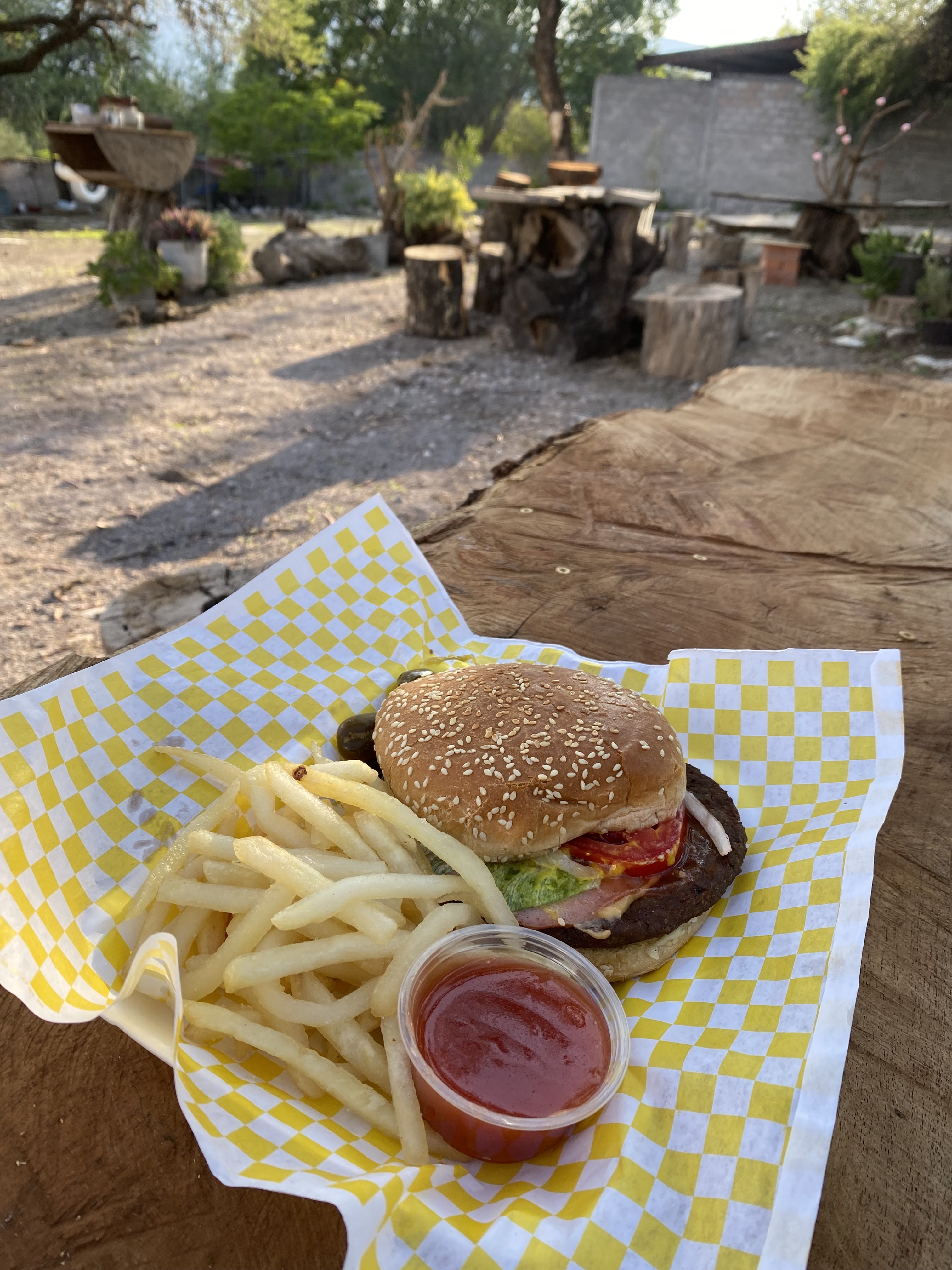 Los Mezquites image 2