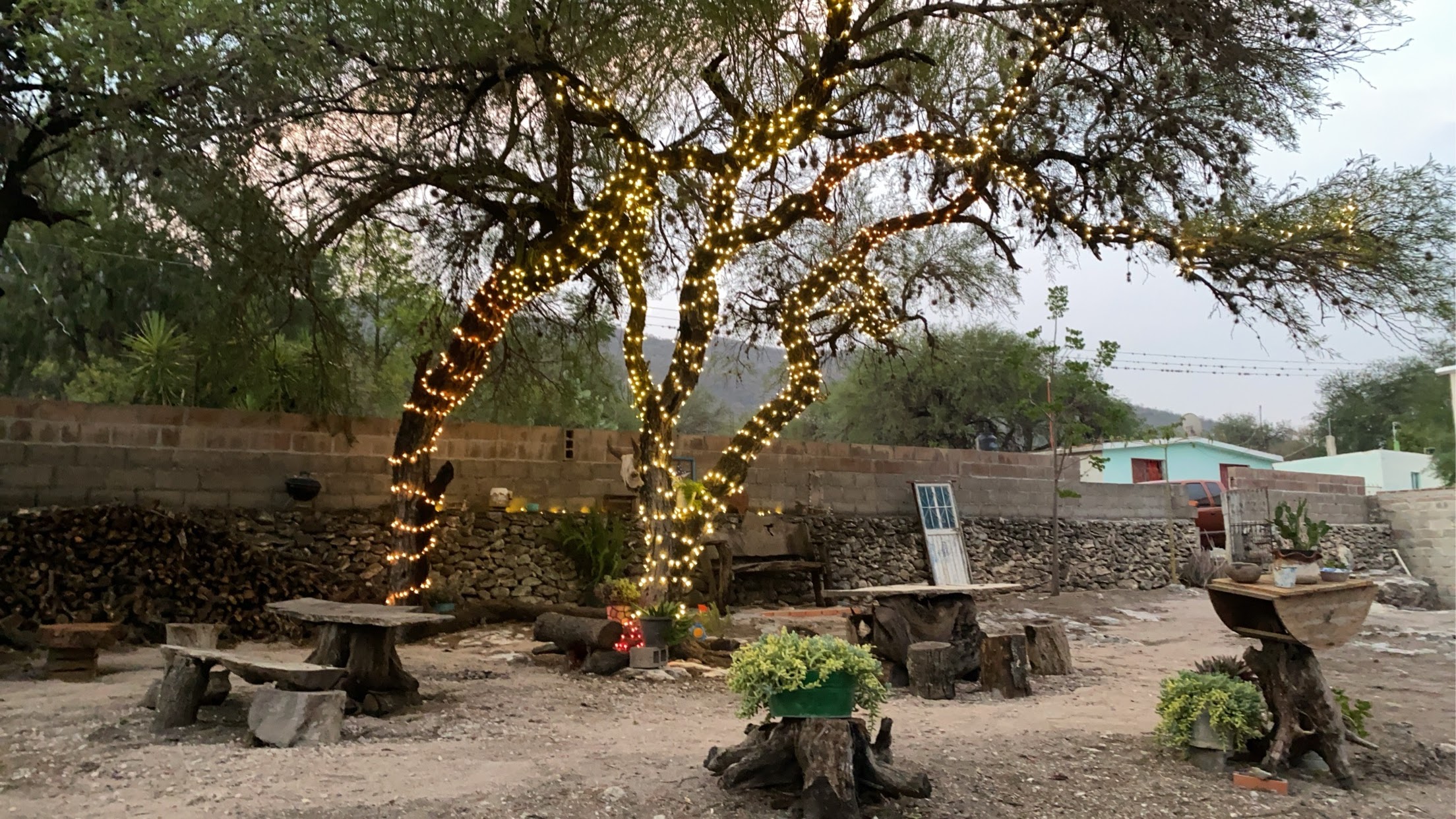 Los Mezquites image 4