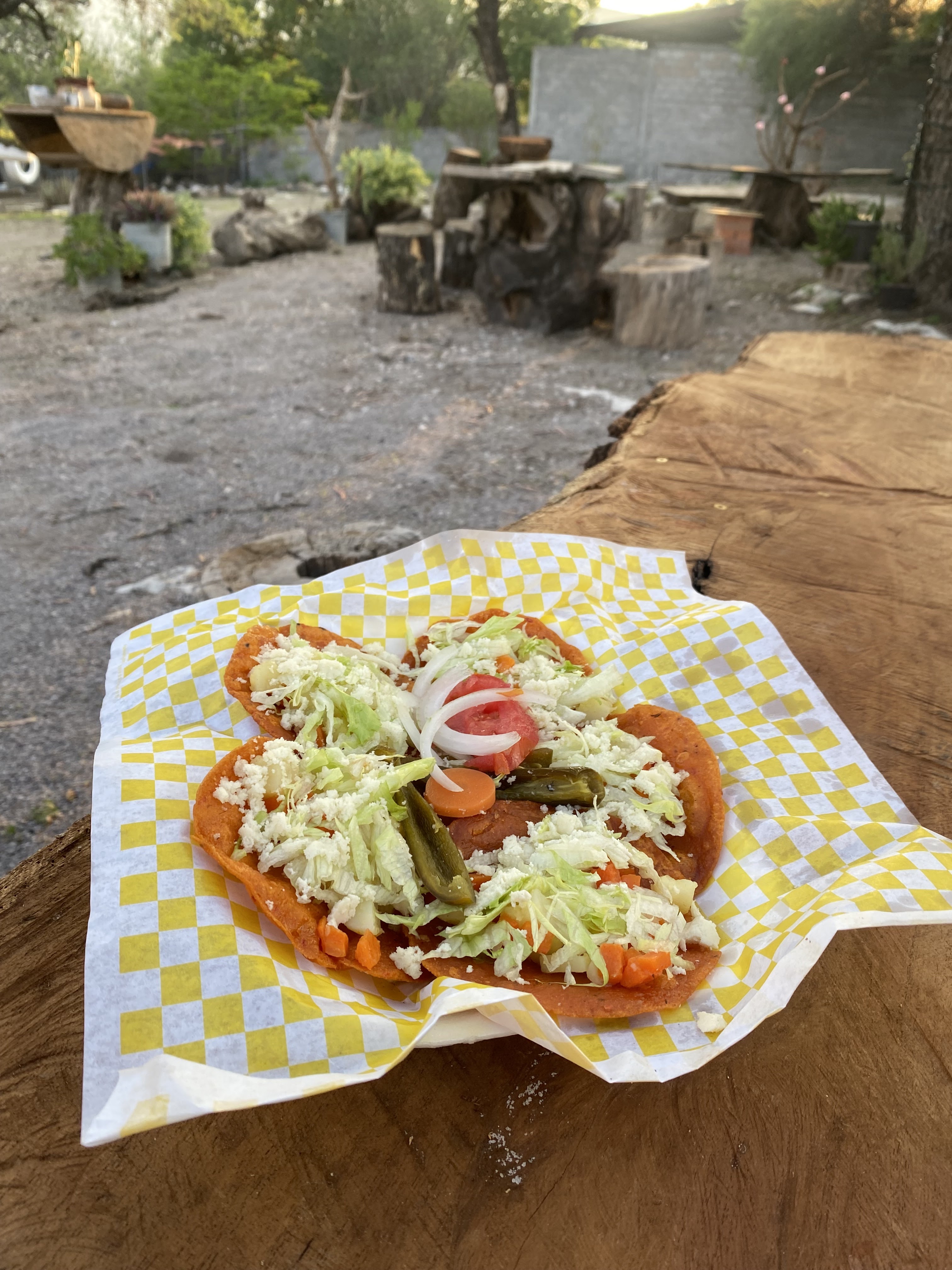 Los Mezquites image 5