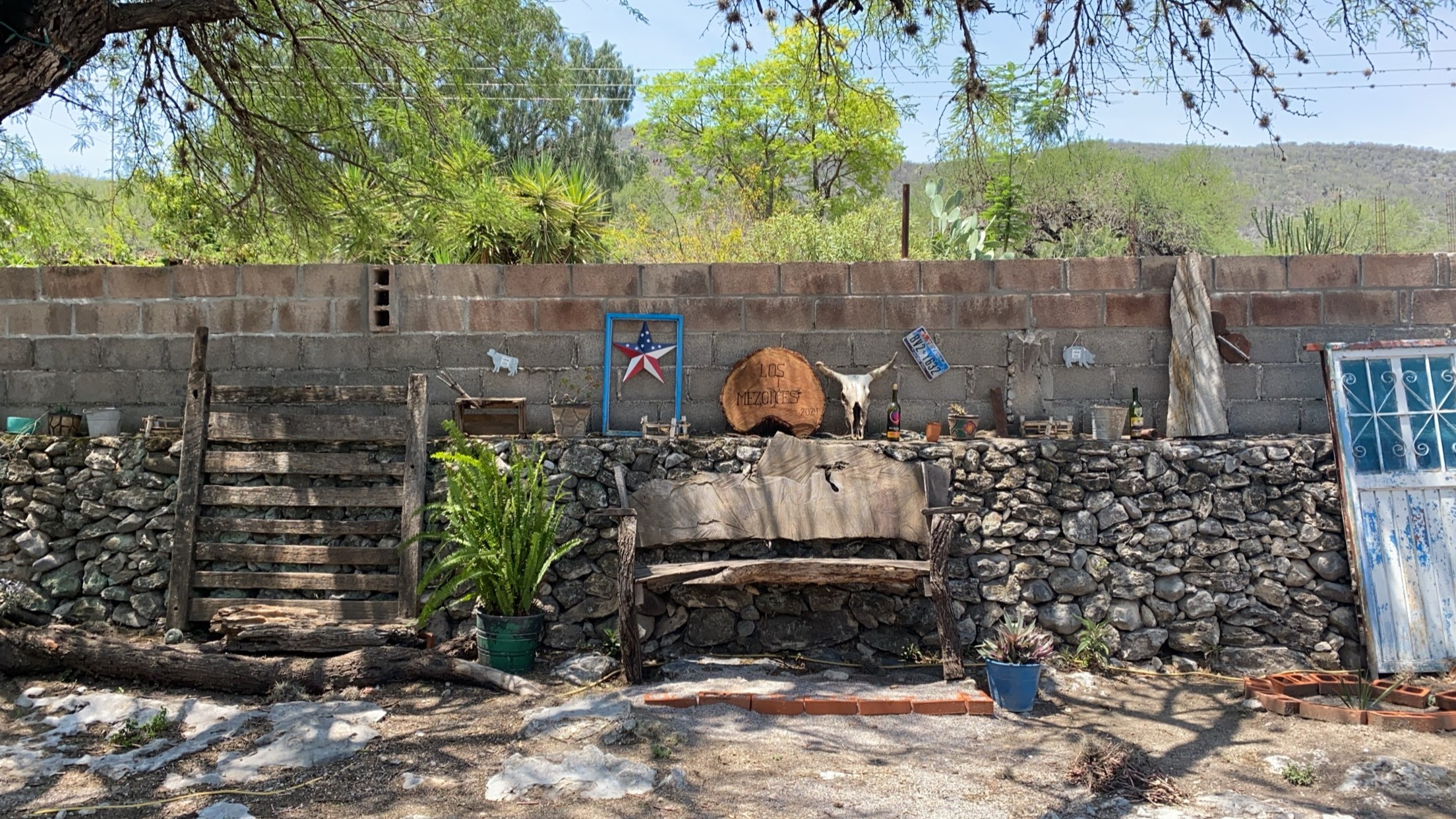Los Mezquites image 6