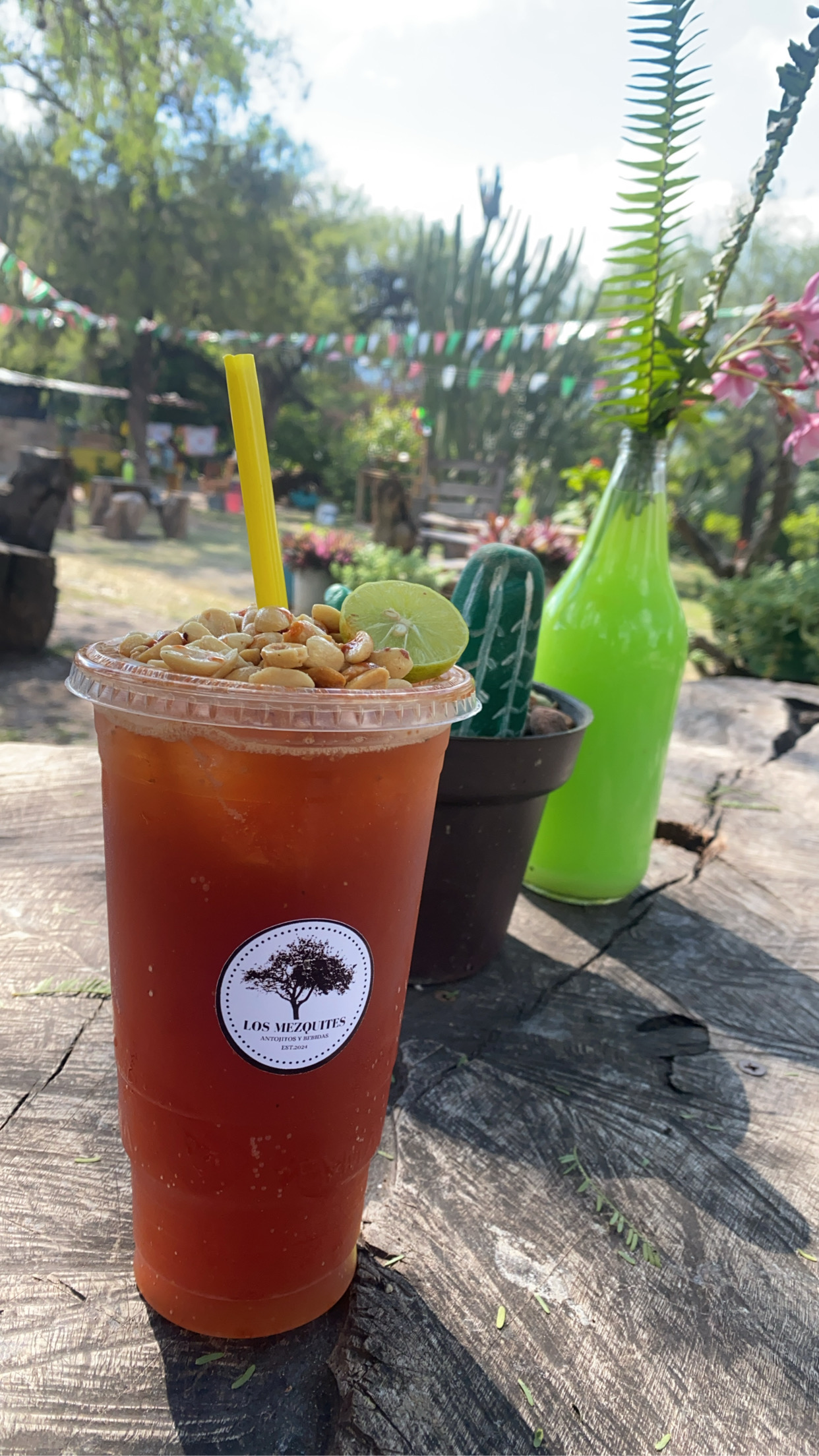 Los Mezquites image 7