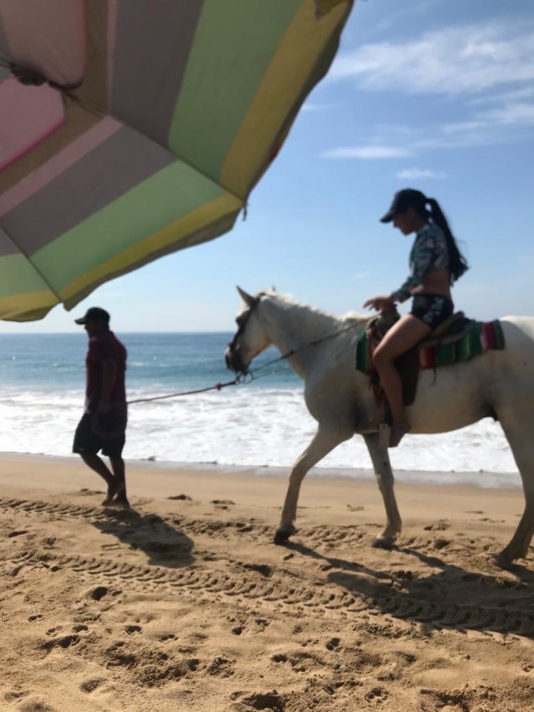 RESTAURANTE EL GATO CALENTANO image 6
