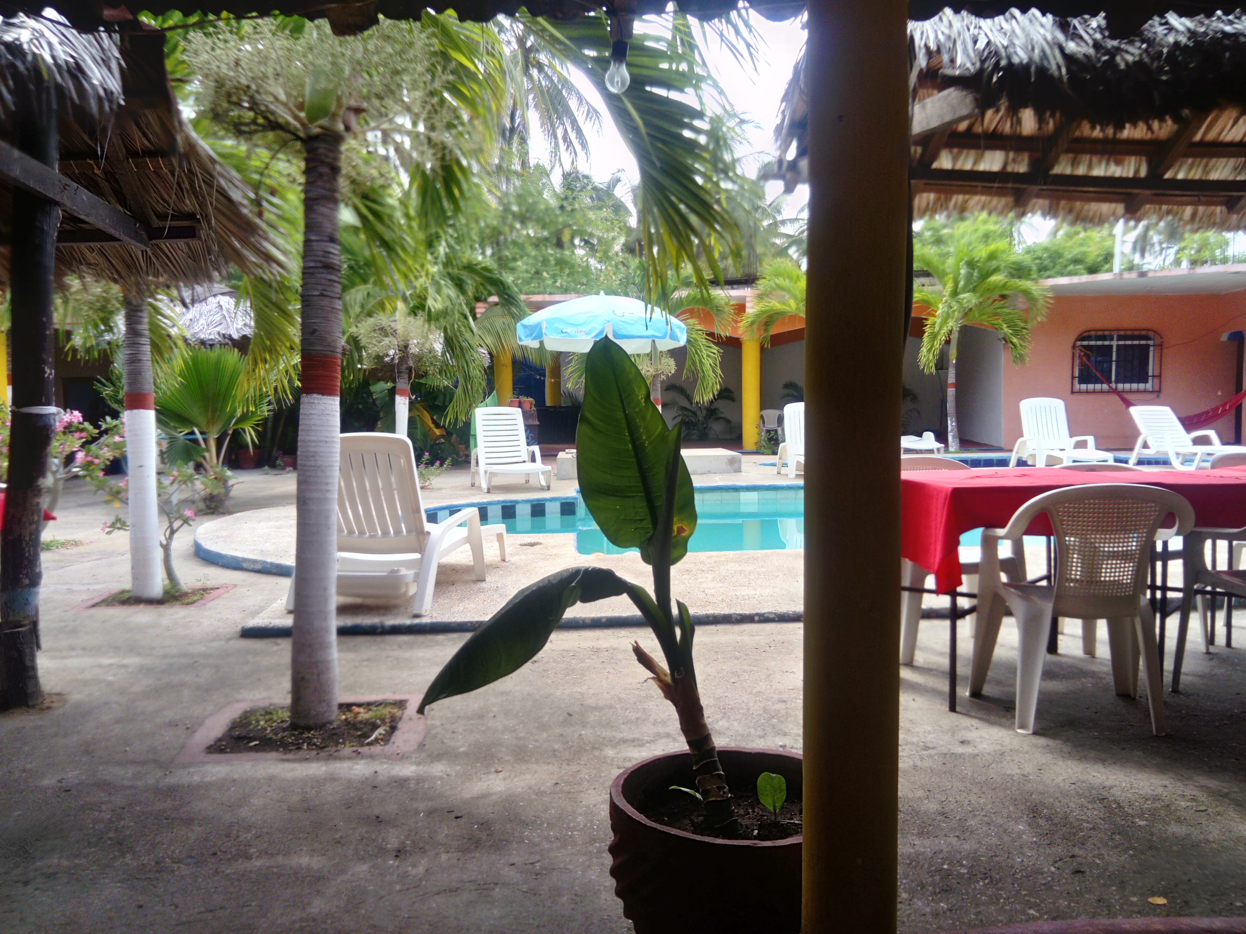 Acapulquito's Mexican Grill image 1