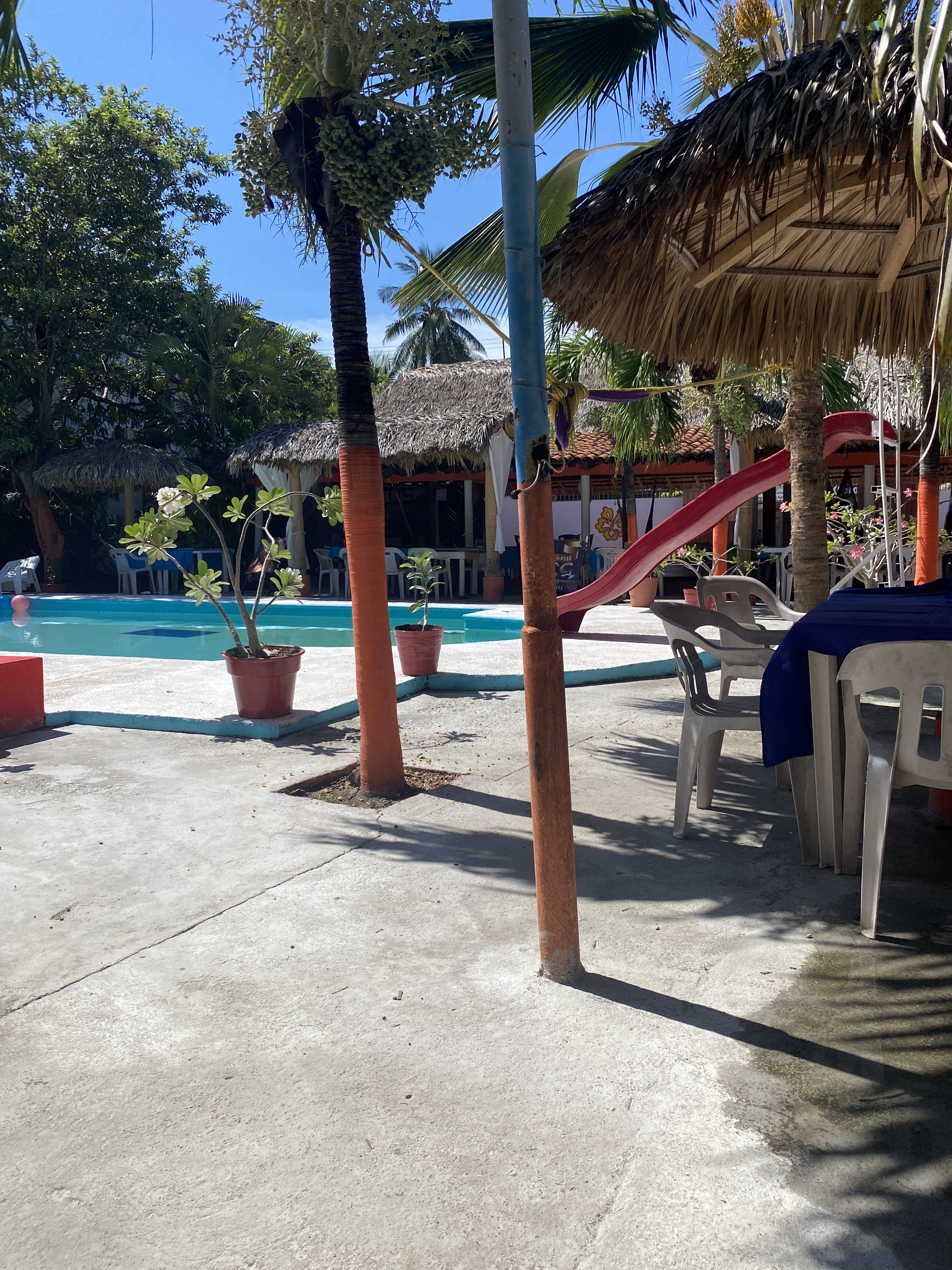 Acapulquito's Mexican Grill image 4