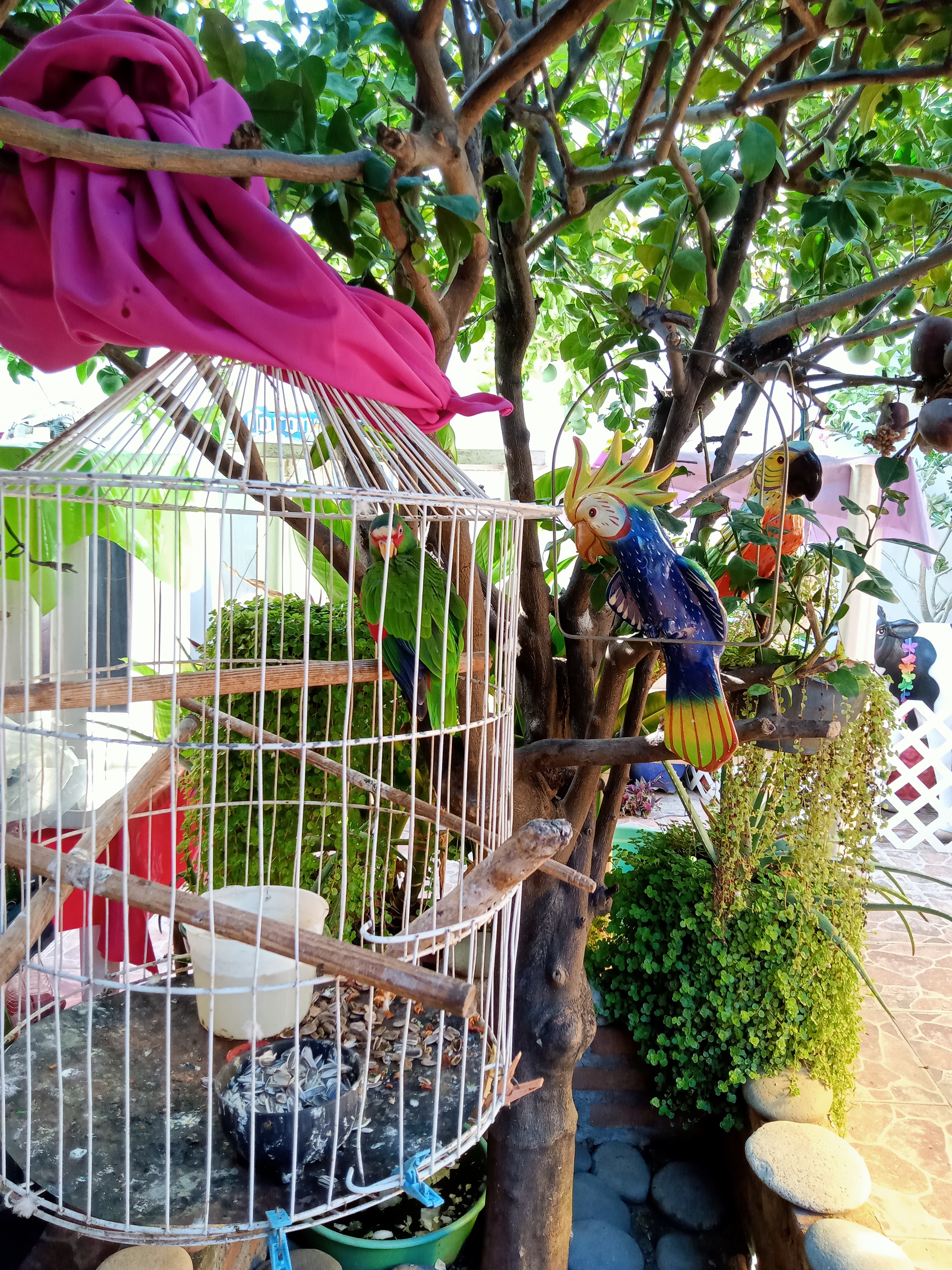 RESTAURANT LA HERRADURA image 10