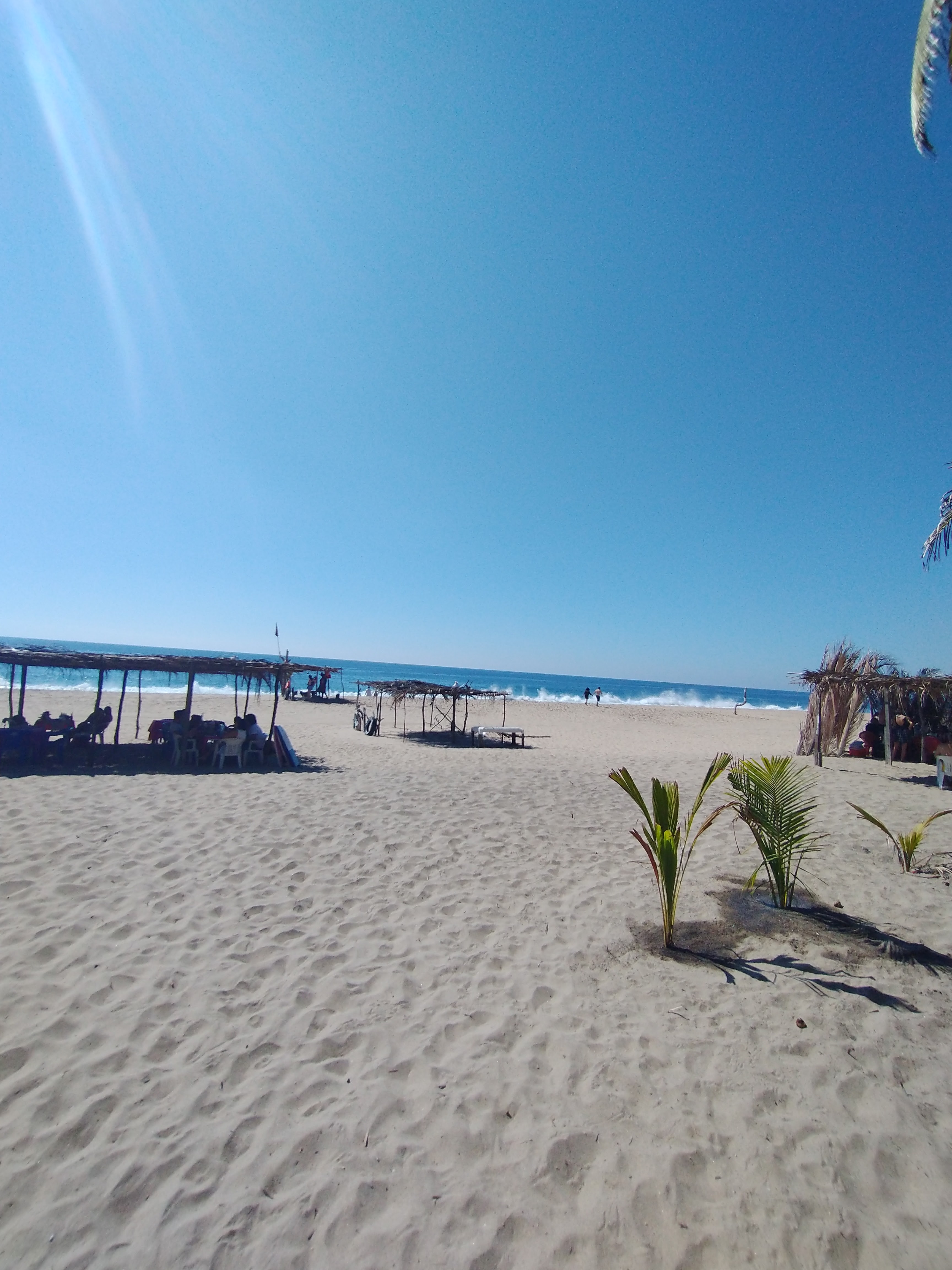 RESTAURANTE MAR DE NOCHE image 3