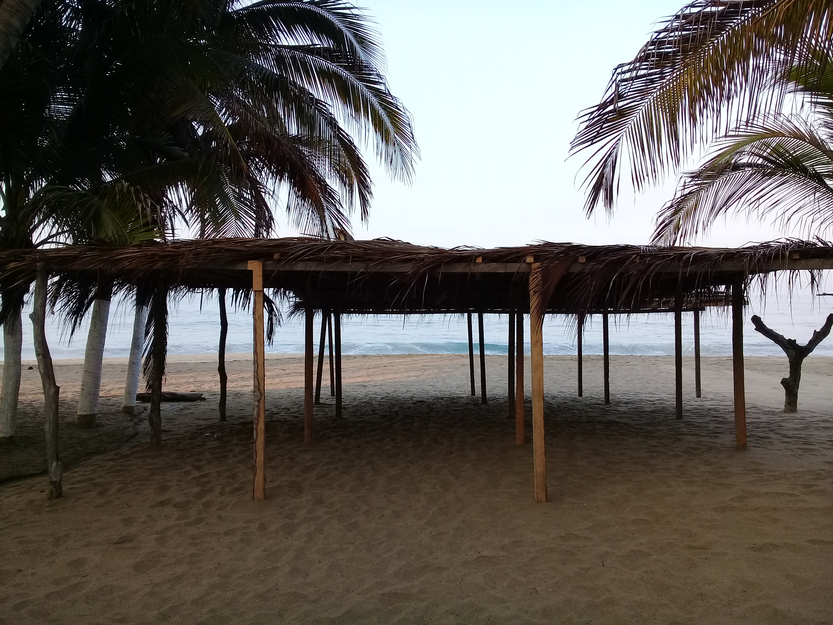 RESTAURANTE MAR DE NOCHE image 9