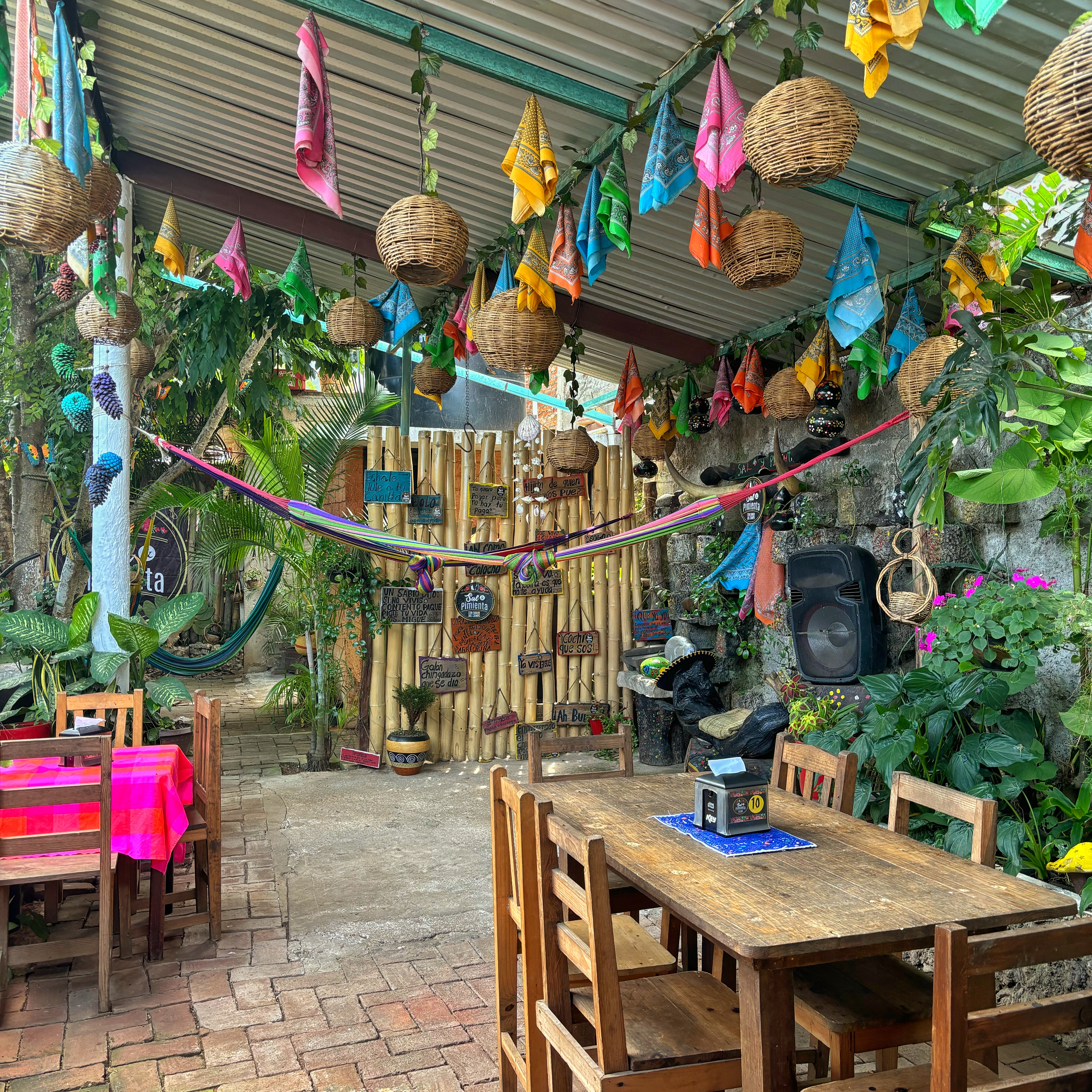 Sal y Pimienta image 3