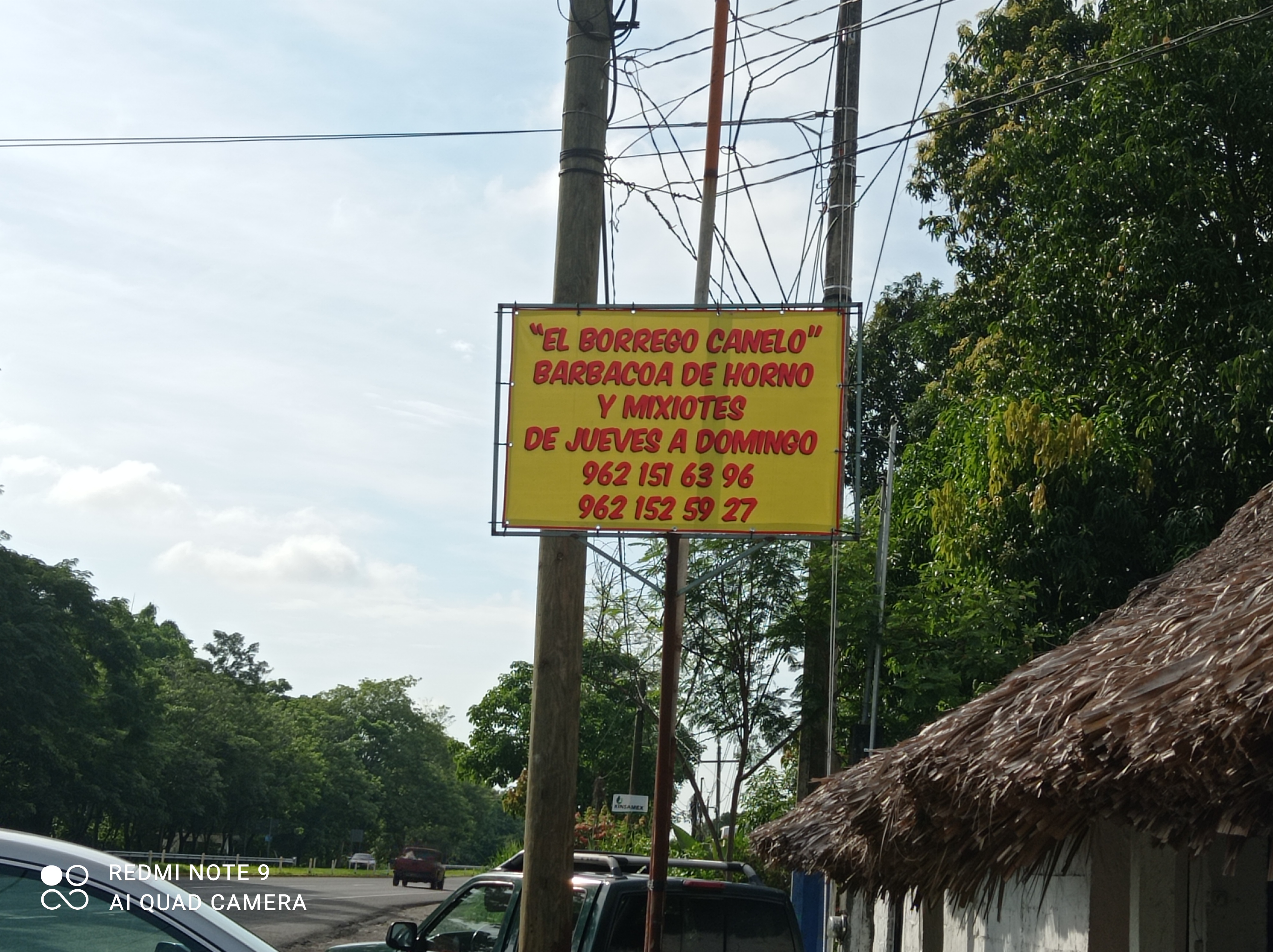 El Borrego Canelo image 4