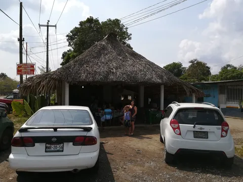 El Borrego Canelo image 8