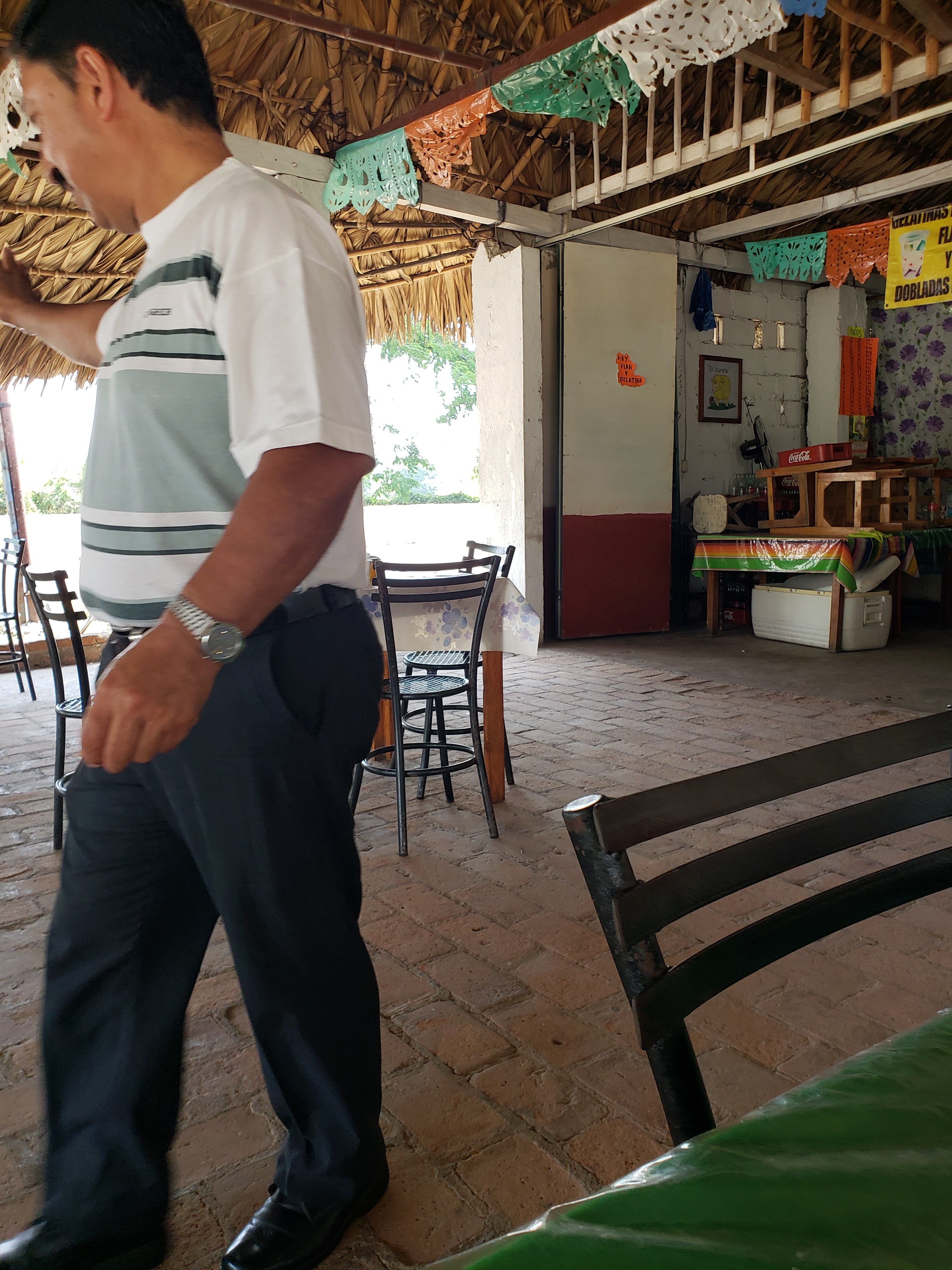 El Borrego Canelo image 9