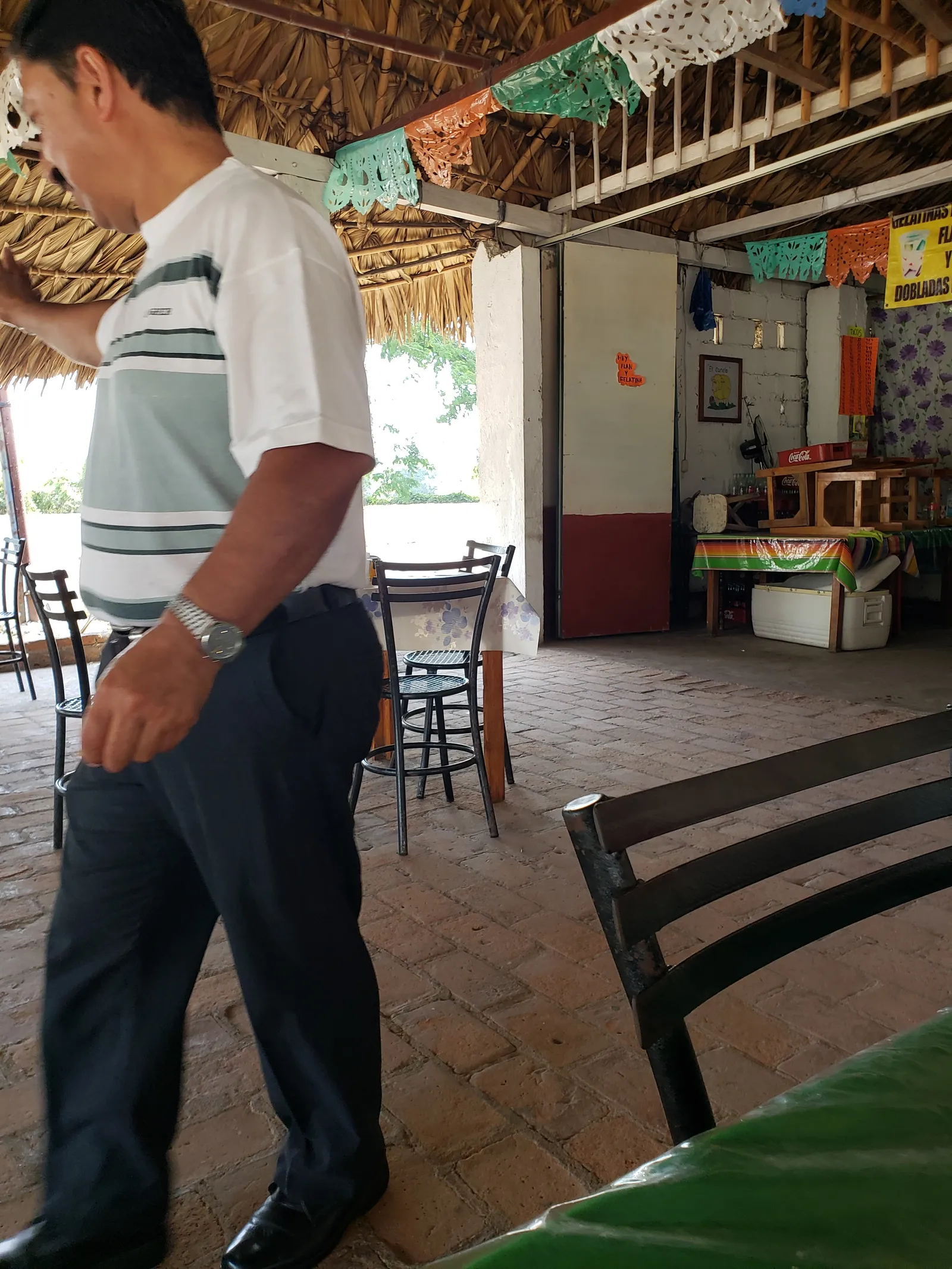 El Borrego Canelo image 9