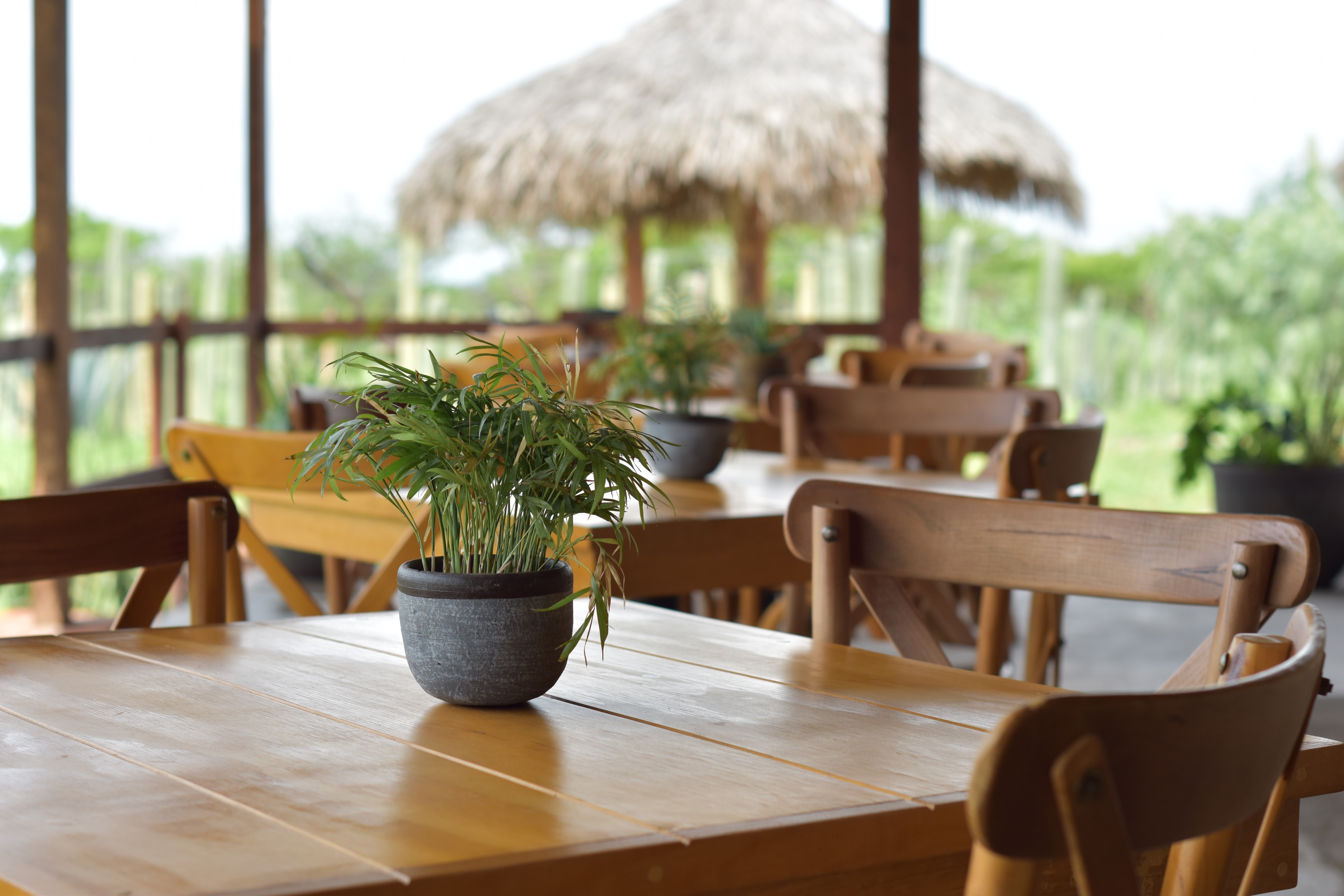 Gallo Cocina Campestre Mexicana image 1