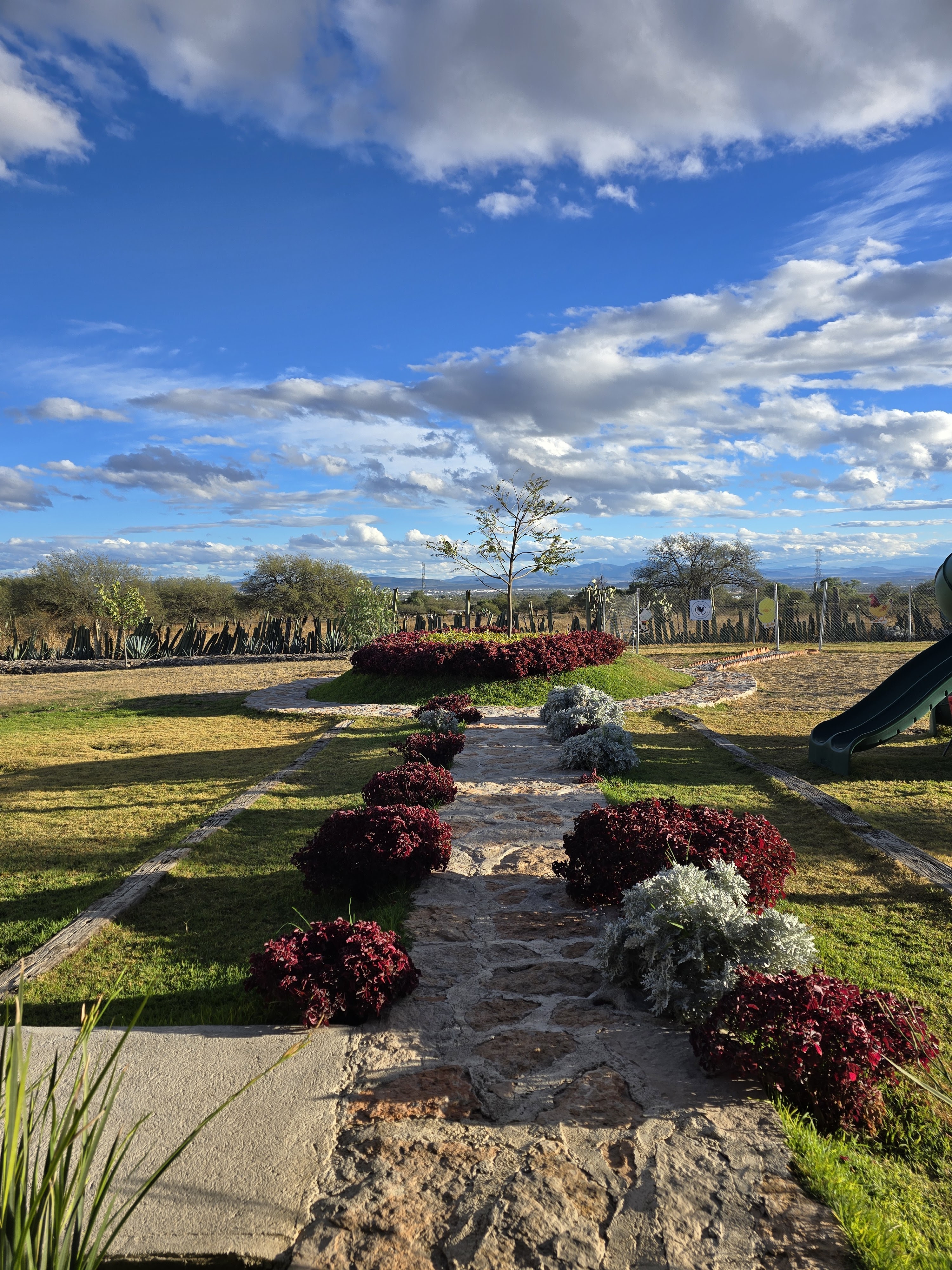 Gallo Cocina Campestre Mexicana image 9