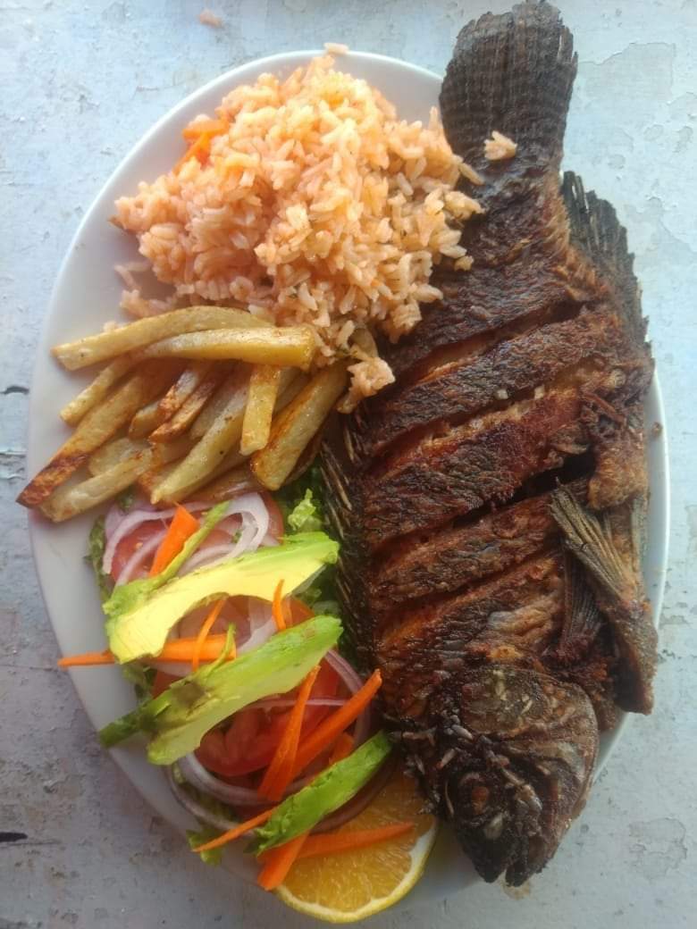 LA CHOZA DE LA FREED (enrramada Juanita) image 9